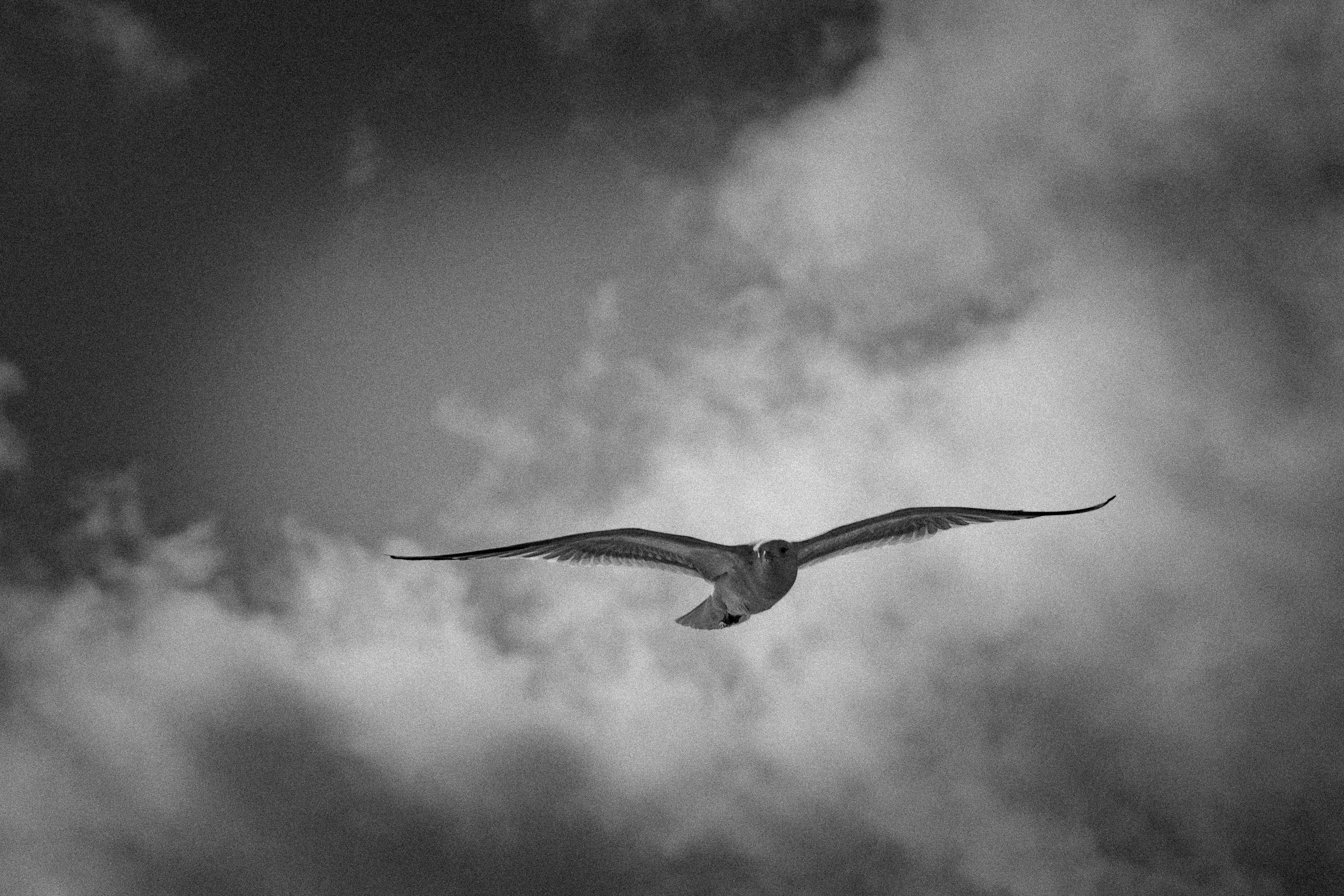 Photo by justmejuliee