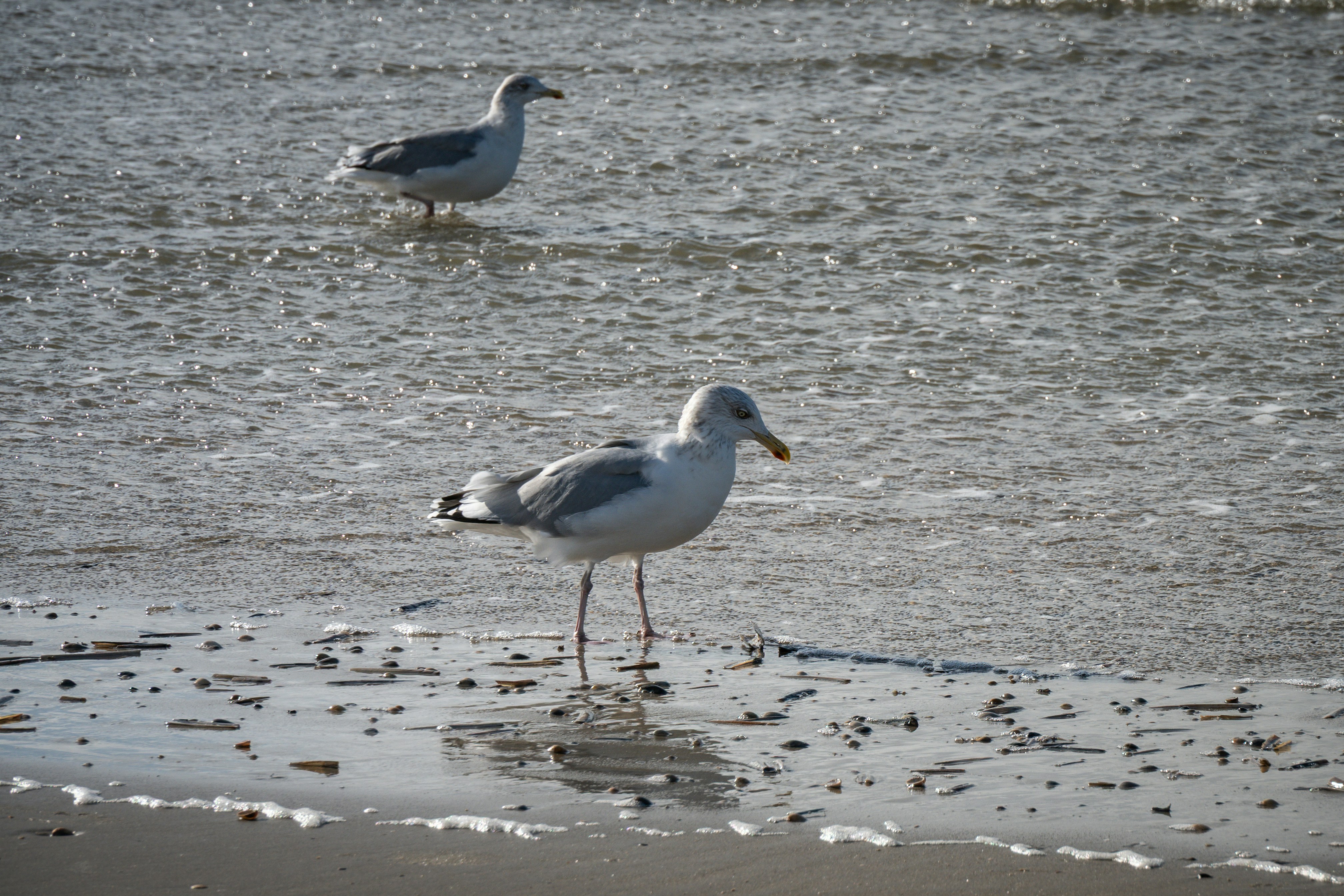 Photo by justmejuliee