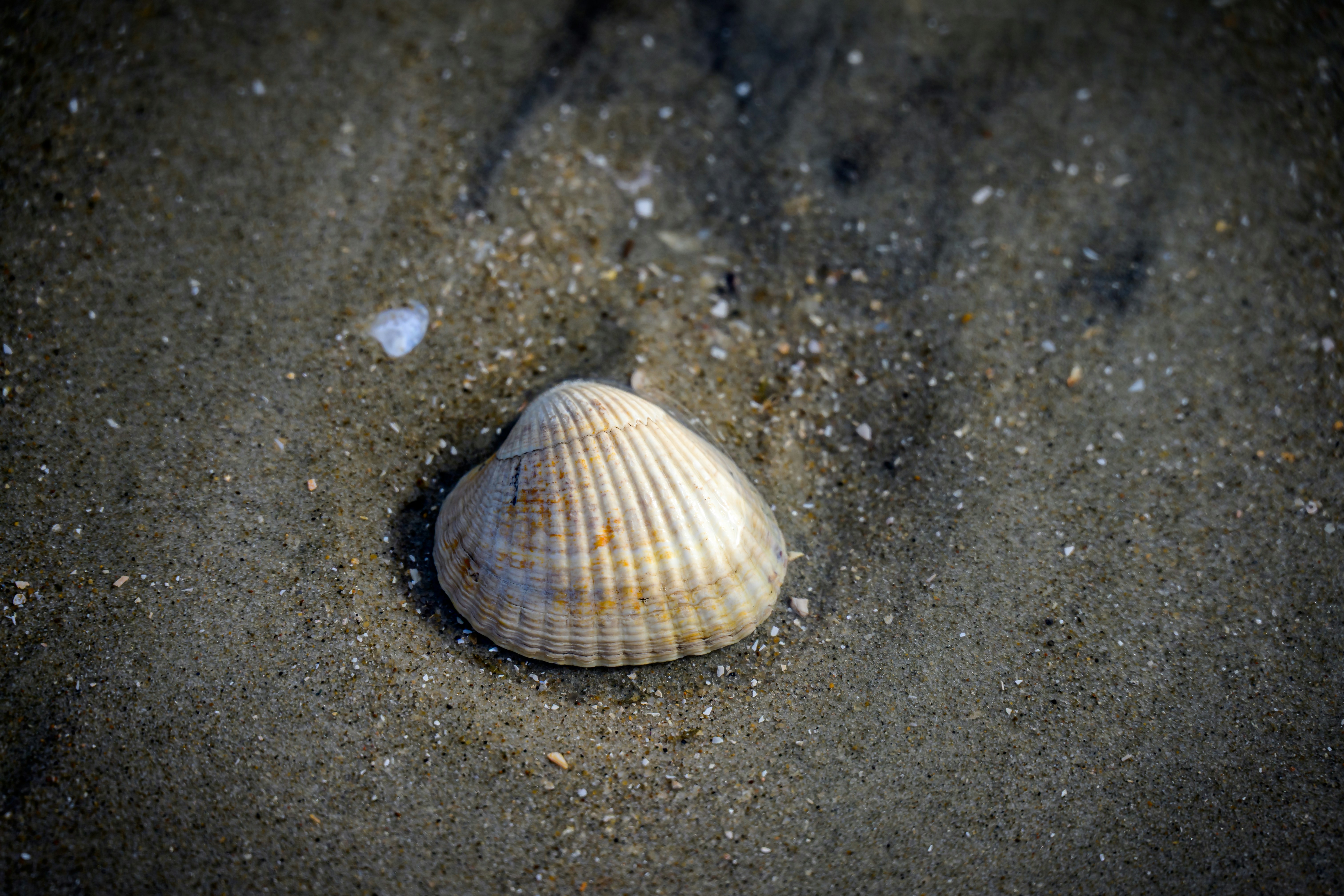 Photo by justmejuliee