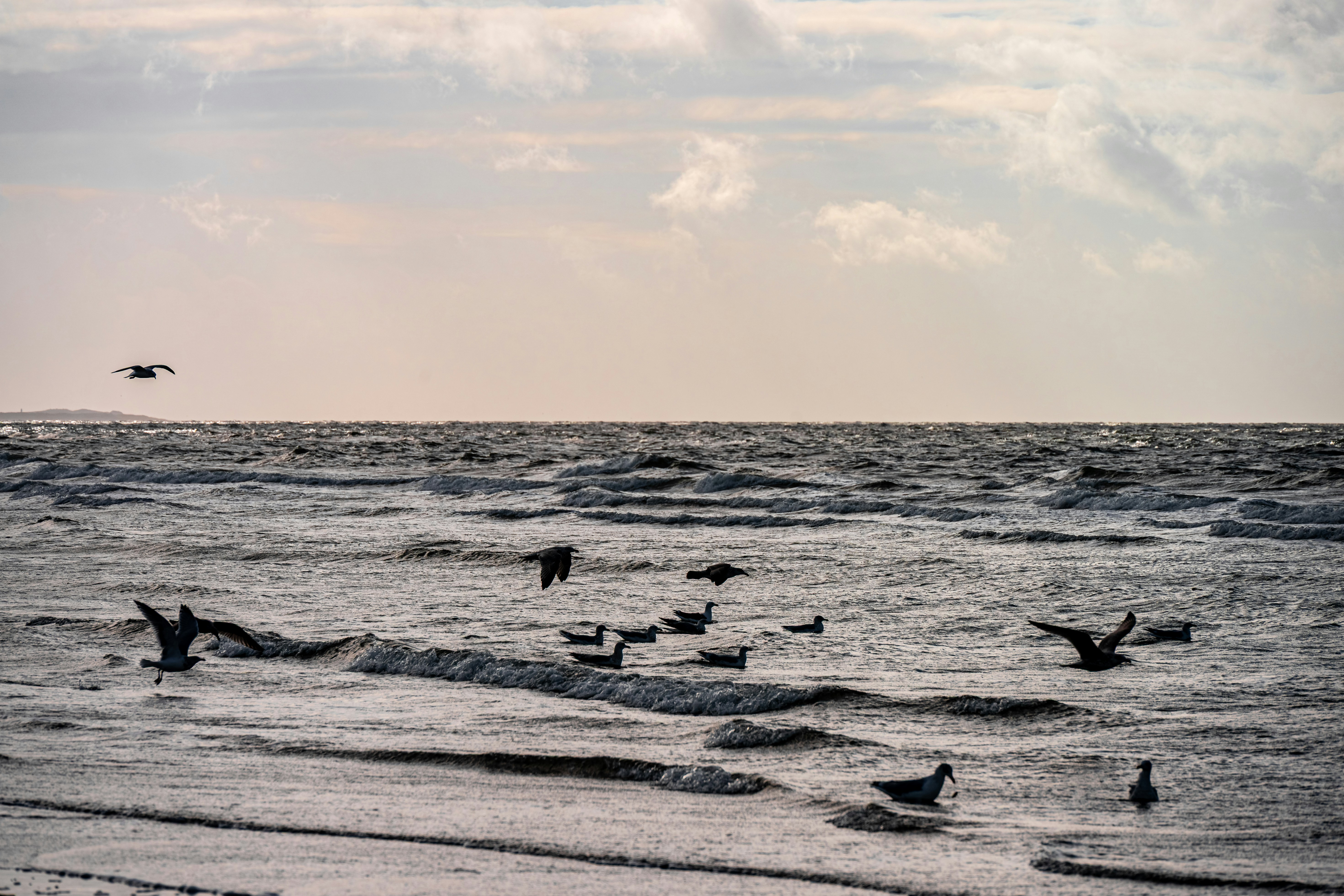 Photo by justmejuliee