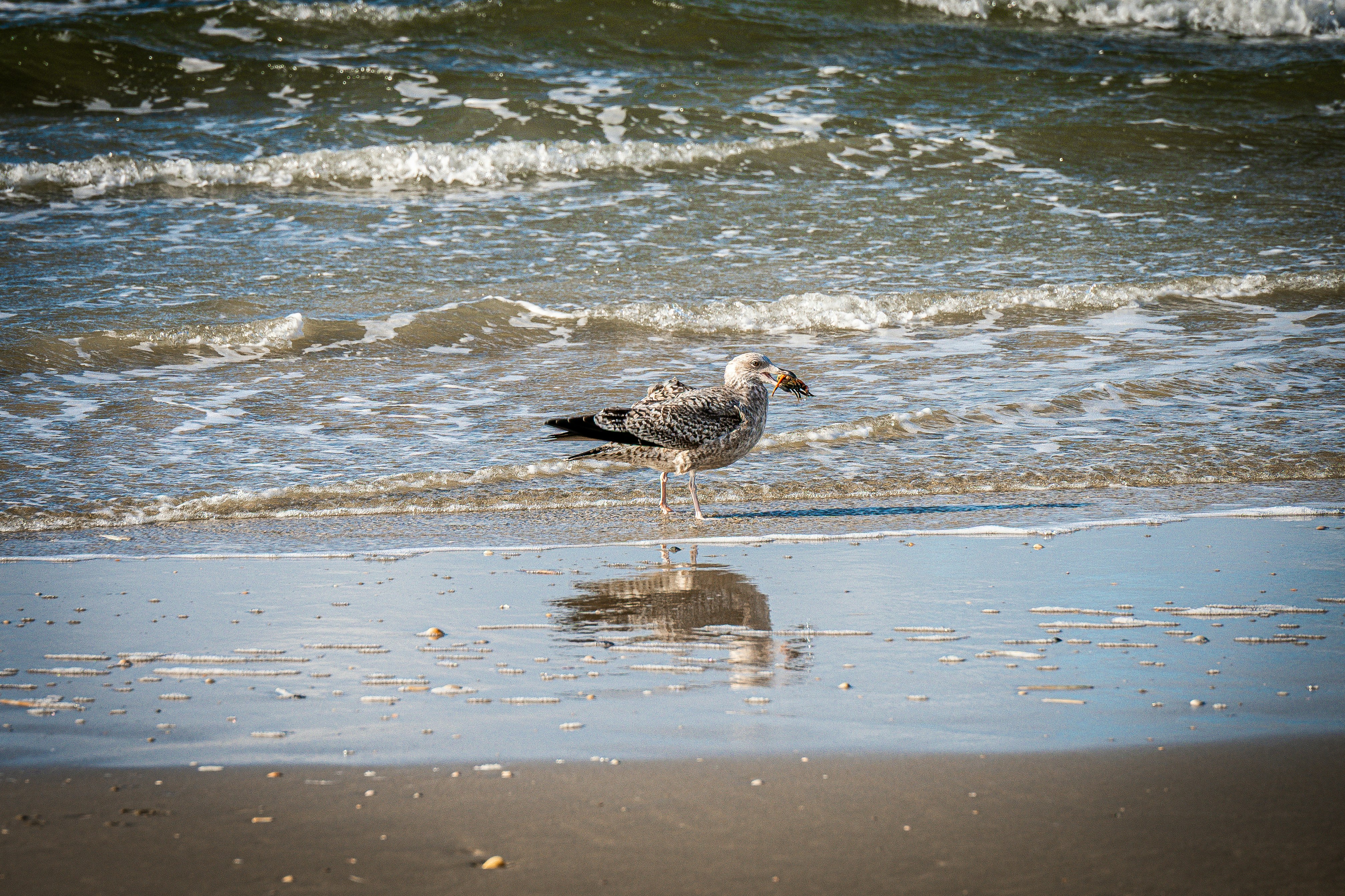 Photo by justmejuliee