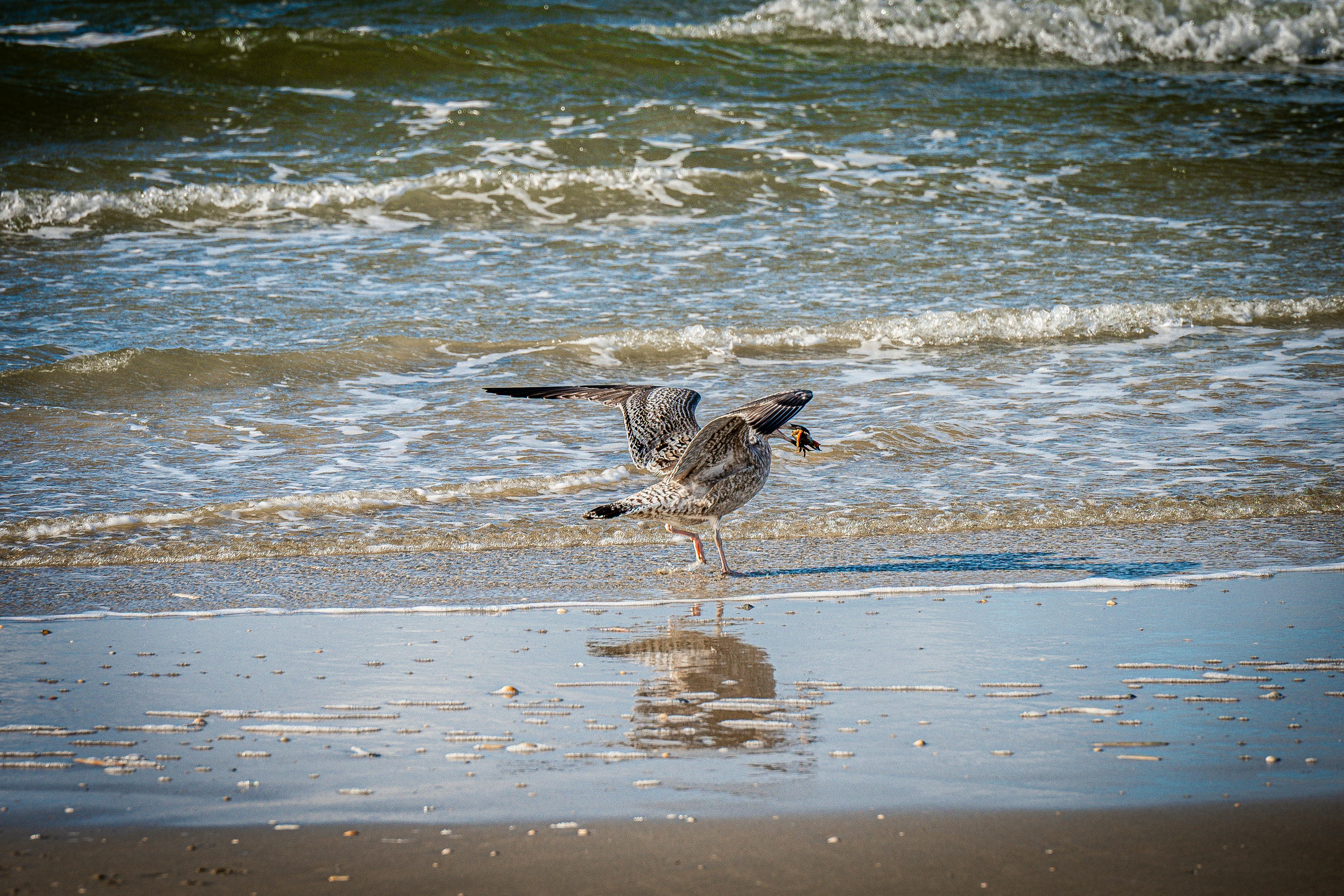 Photo by justmejuliee