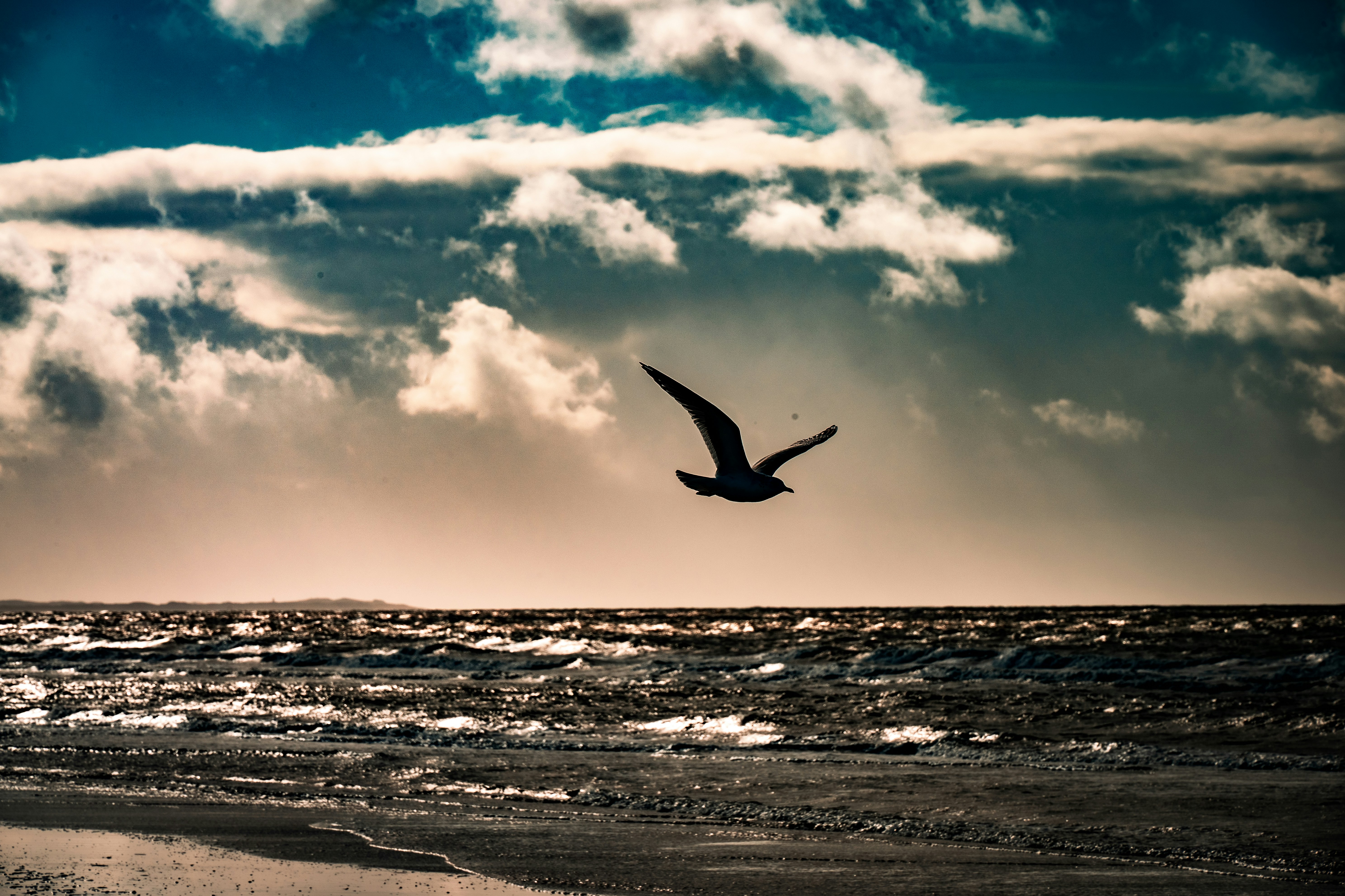 Photo by justmejuliee