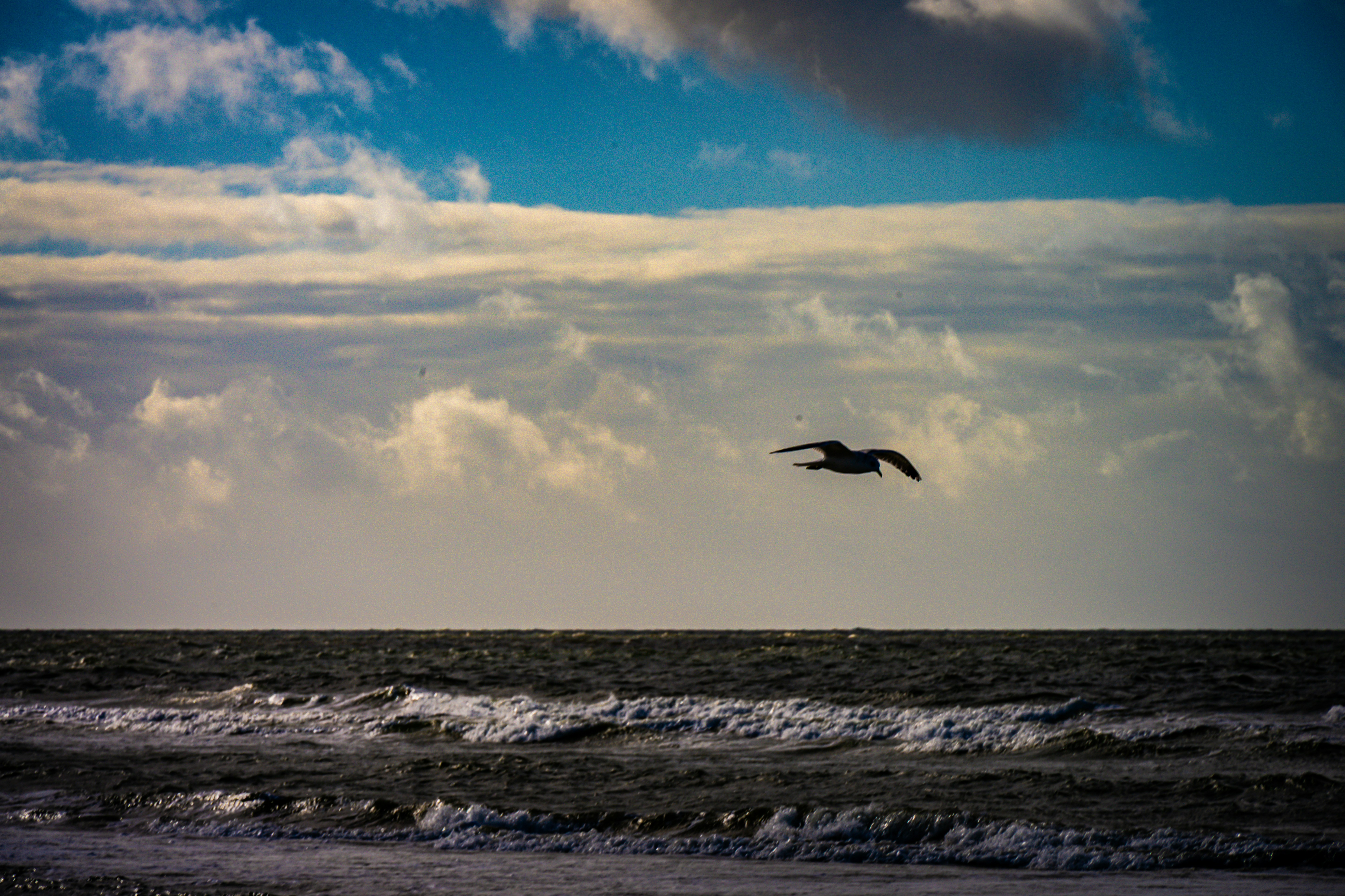 Photo by justmejuliee