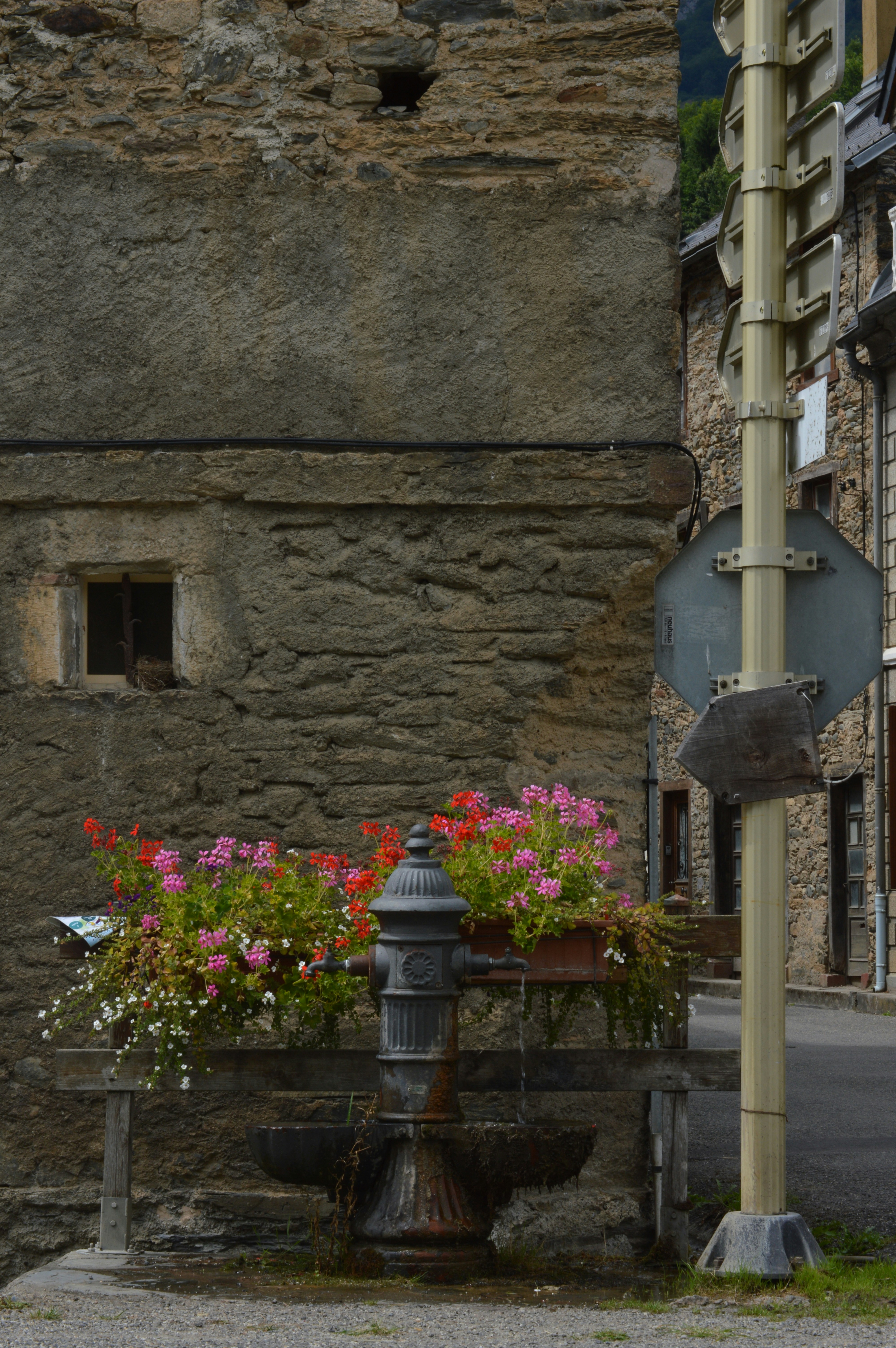 Photo by lorenzomorenog