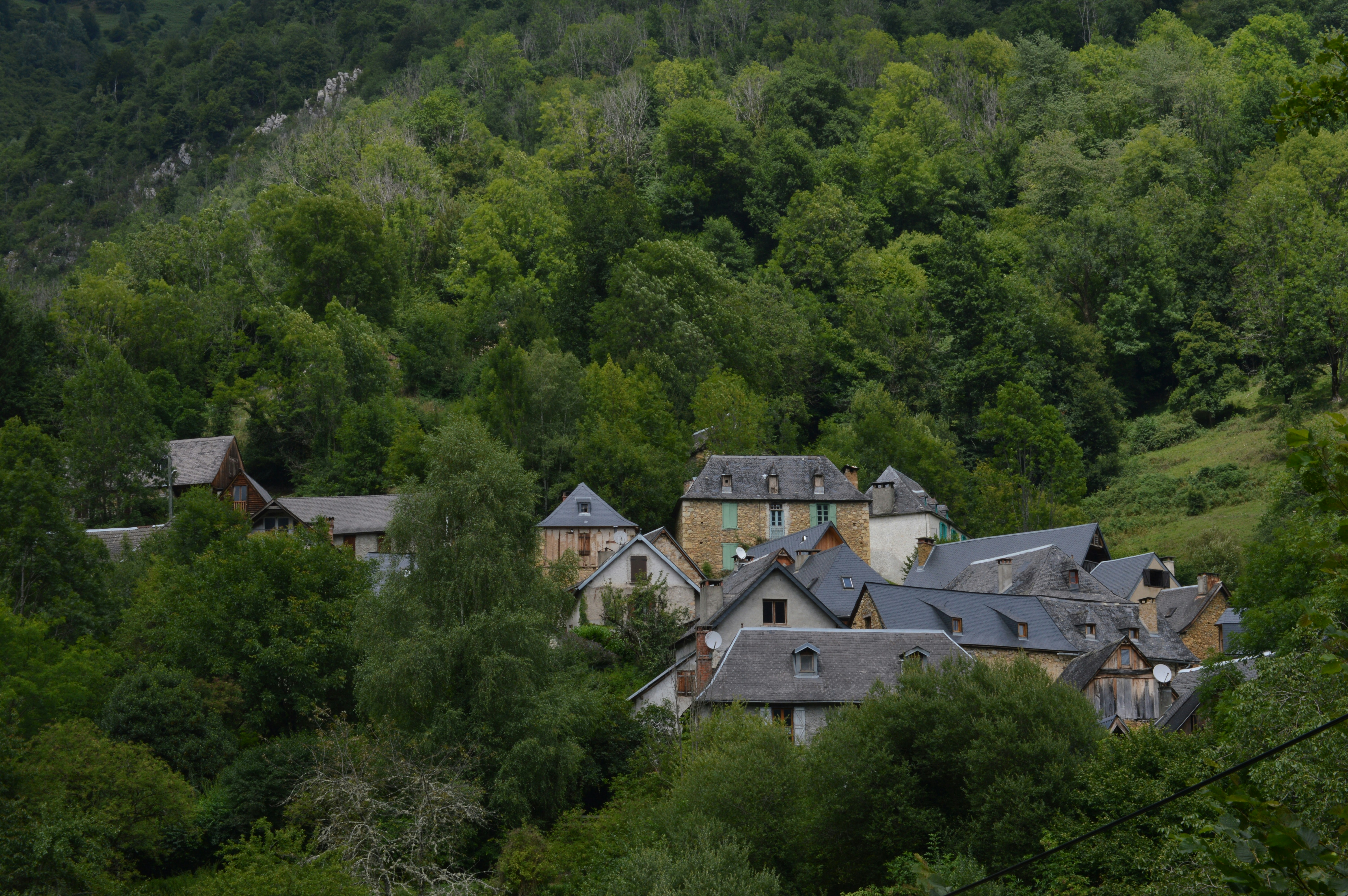 Photo by lorenzomorenog