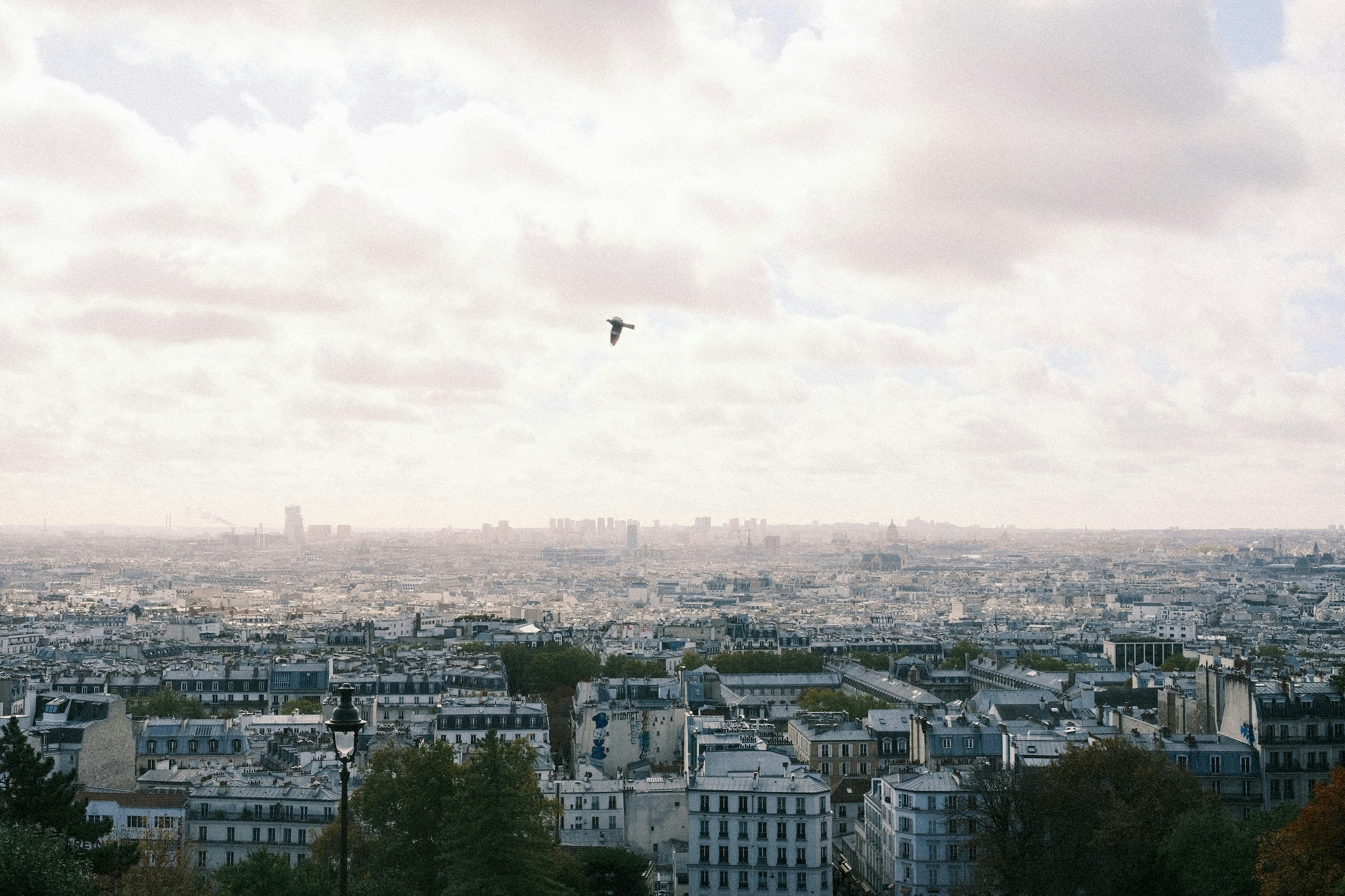 The 30-Year Lag: How Today's Infrastructure Decisions Invisibly Shape Tomorrow's Urban Ecosystems