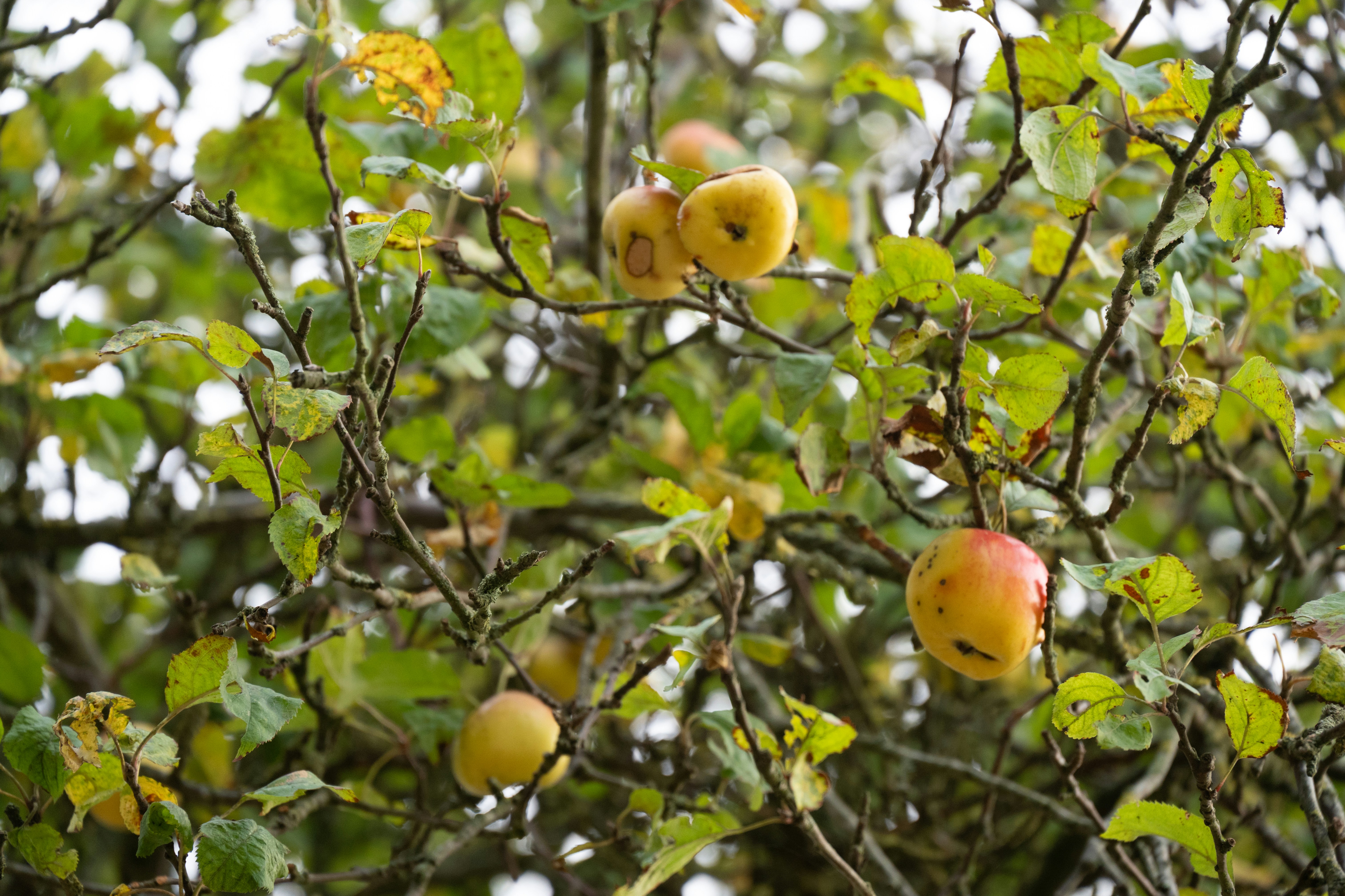 Photo by justmejuliee