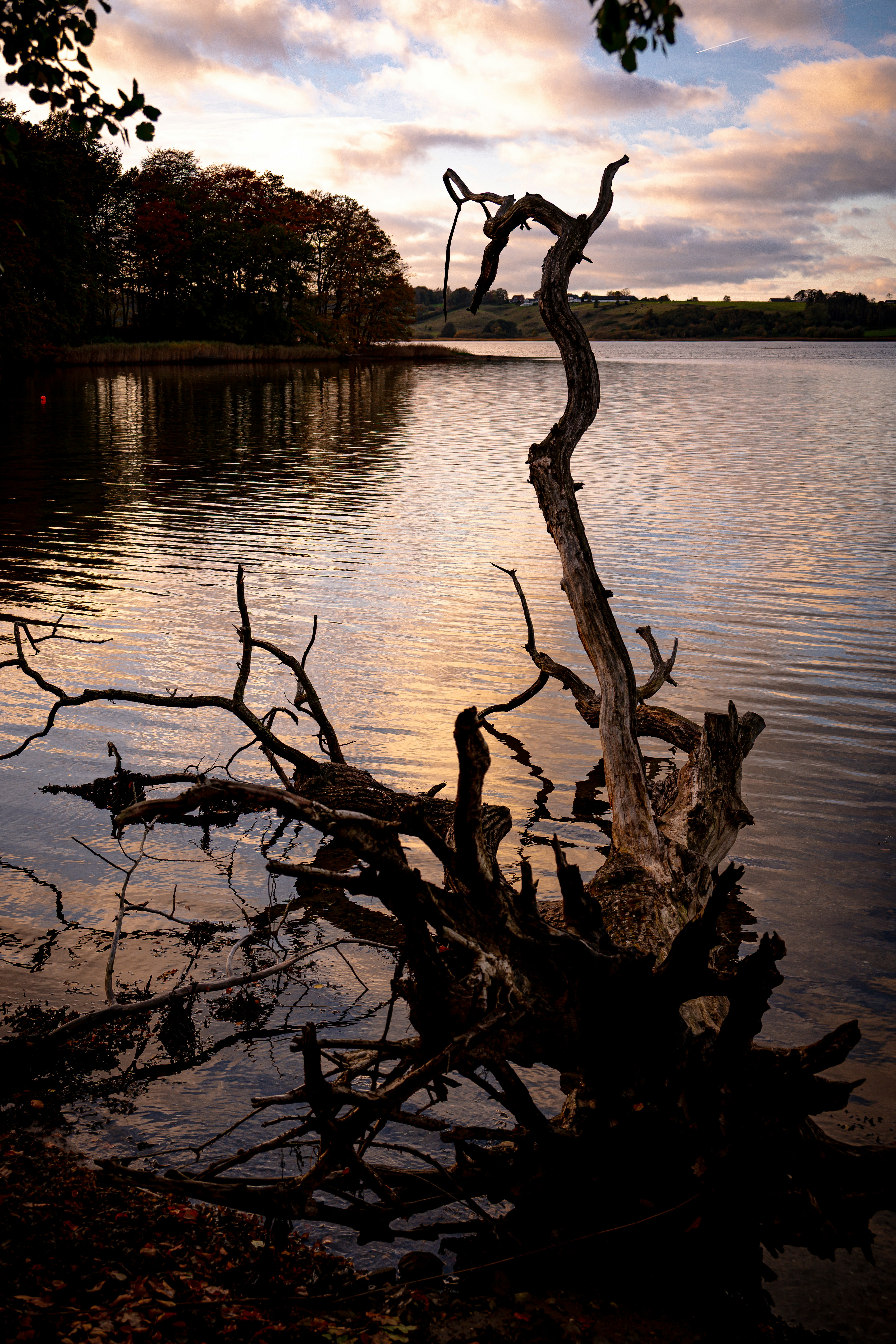 Photo by justmejuliee