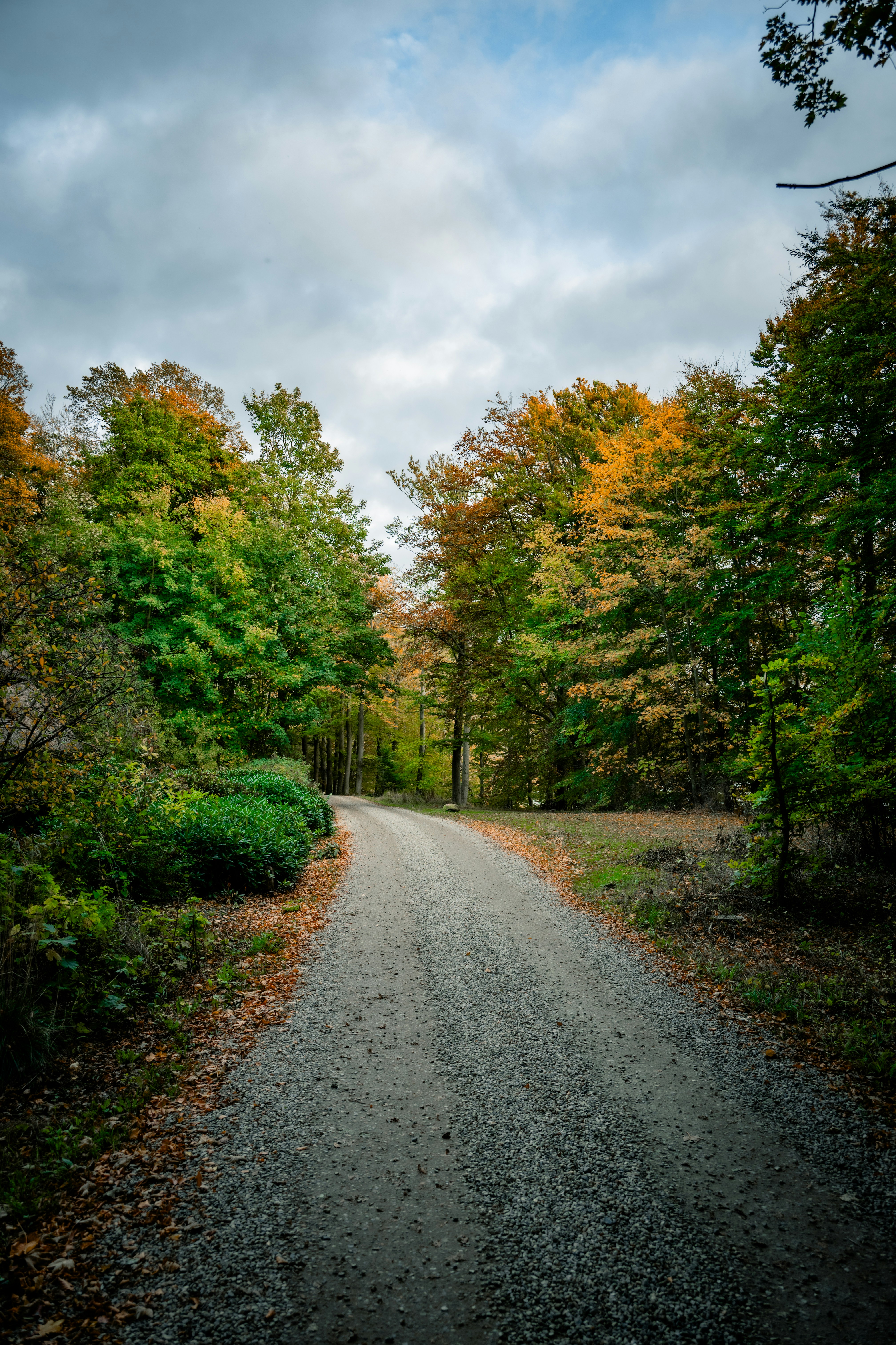 Photo by justmejuliee