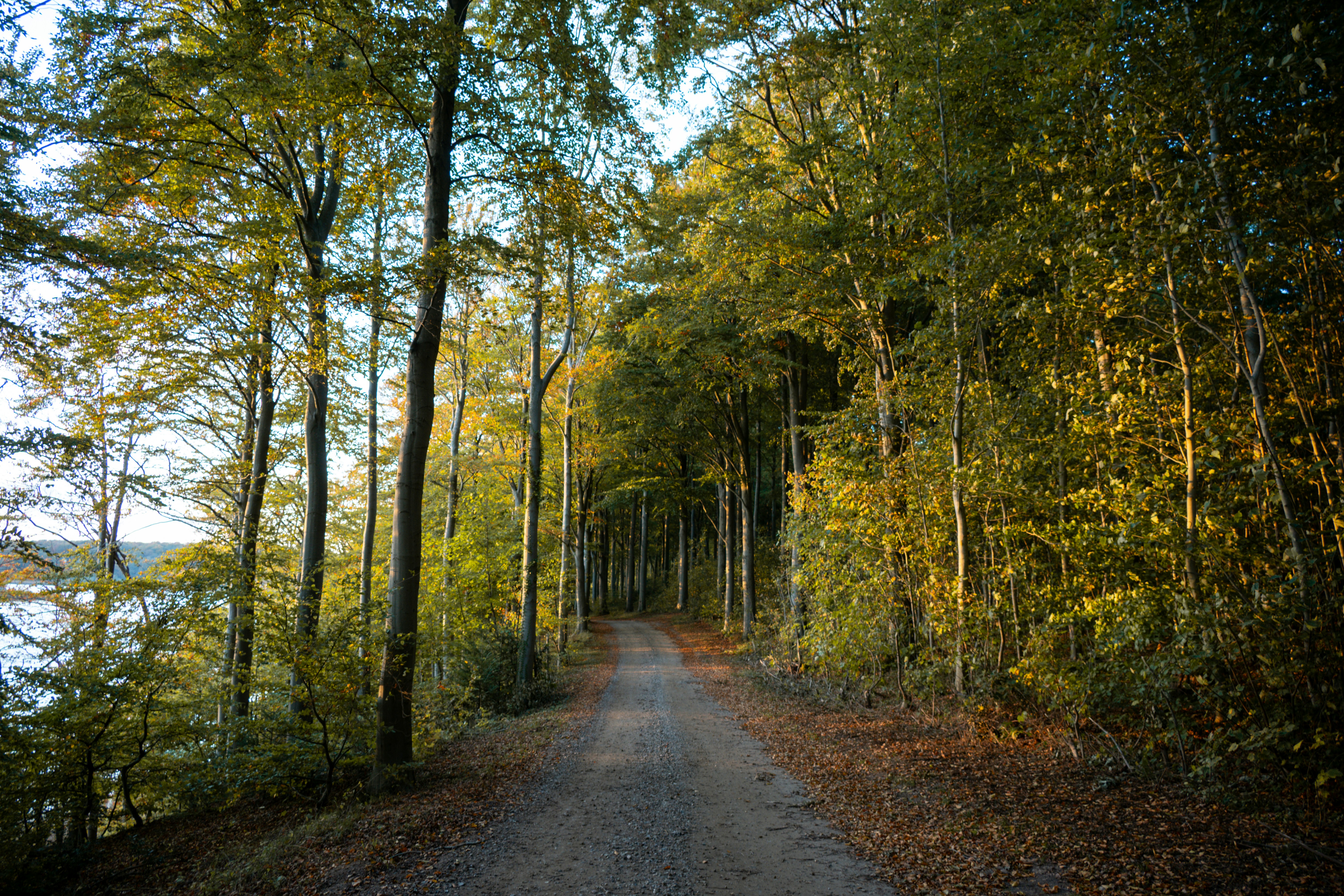 Photo by justmejuliee