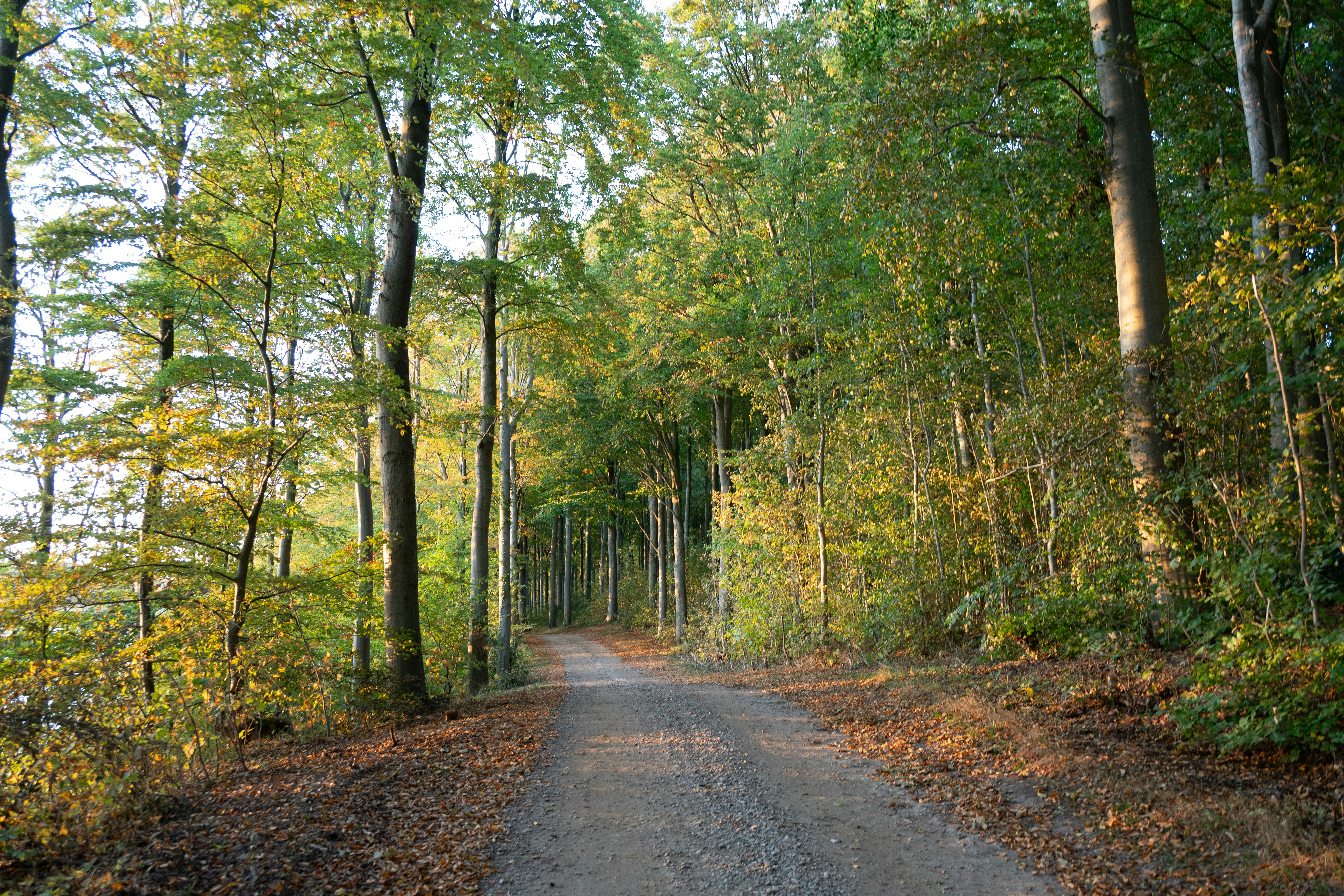 Photo by justmejuliee