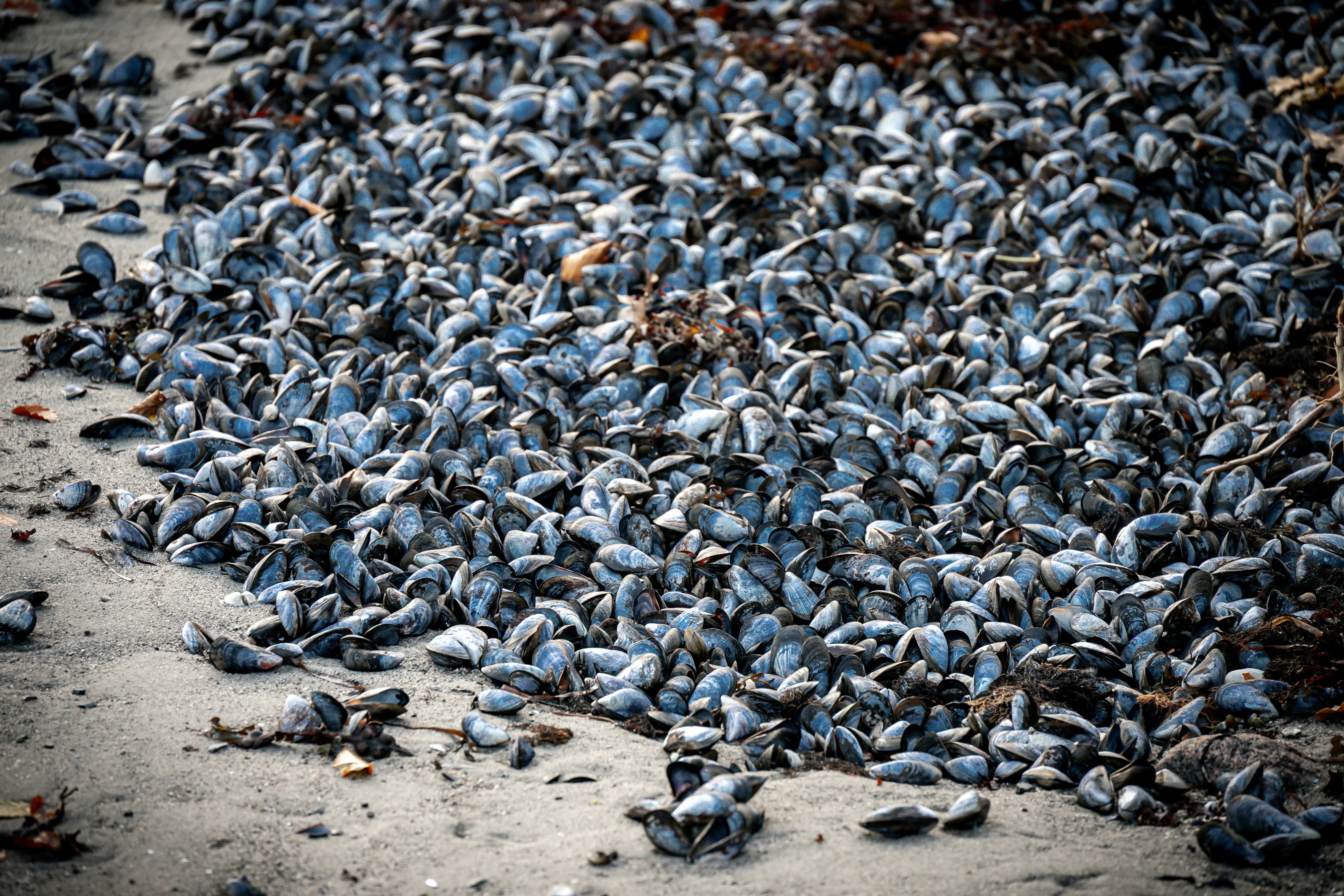 Photo by justmejuliee