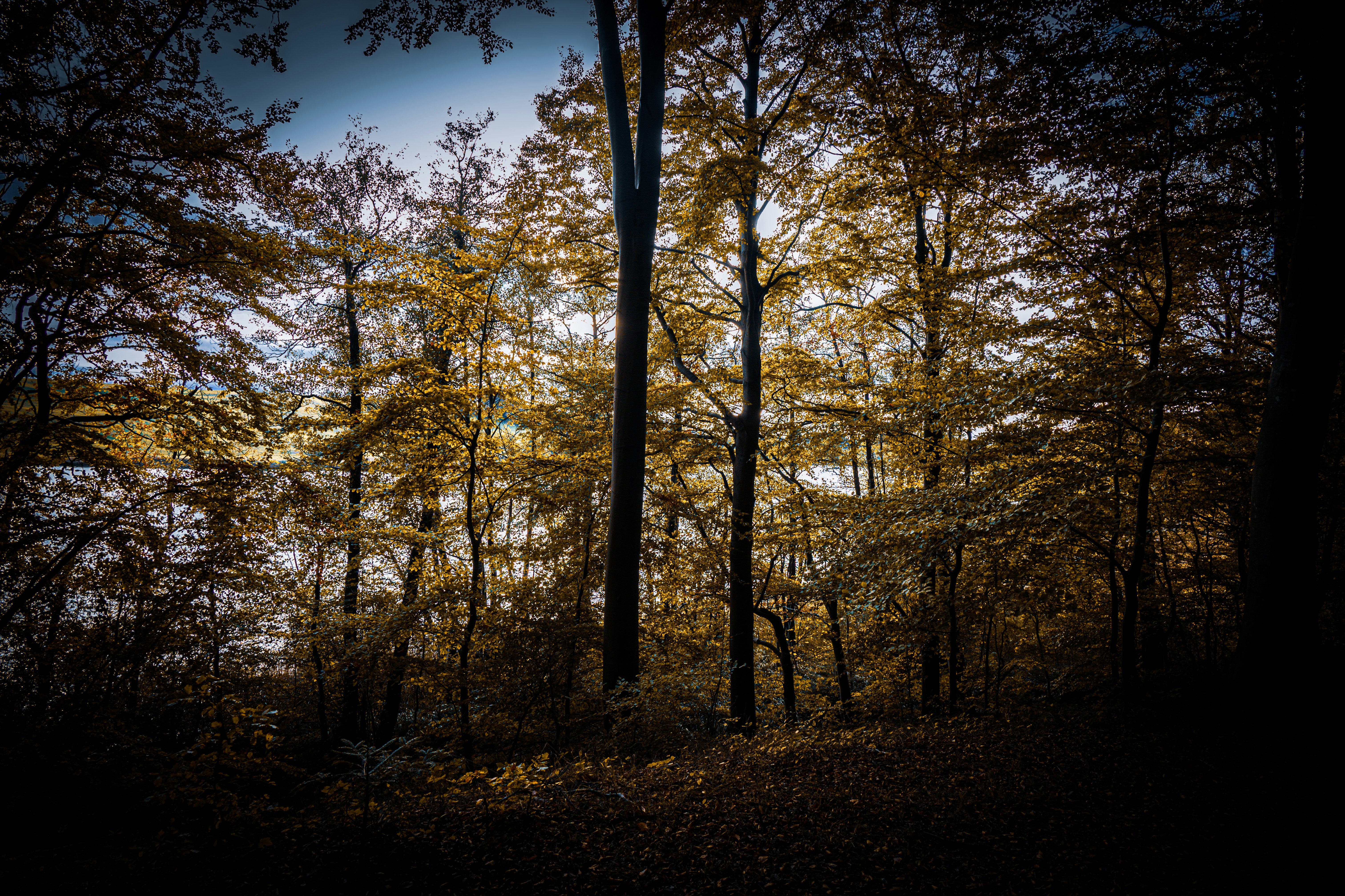 Photo by justmejuliee