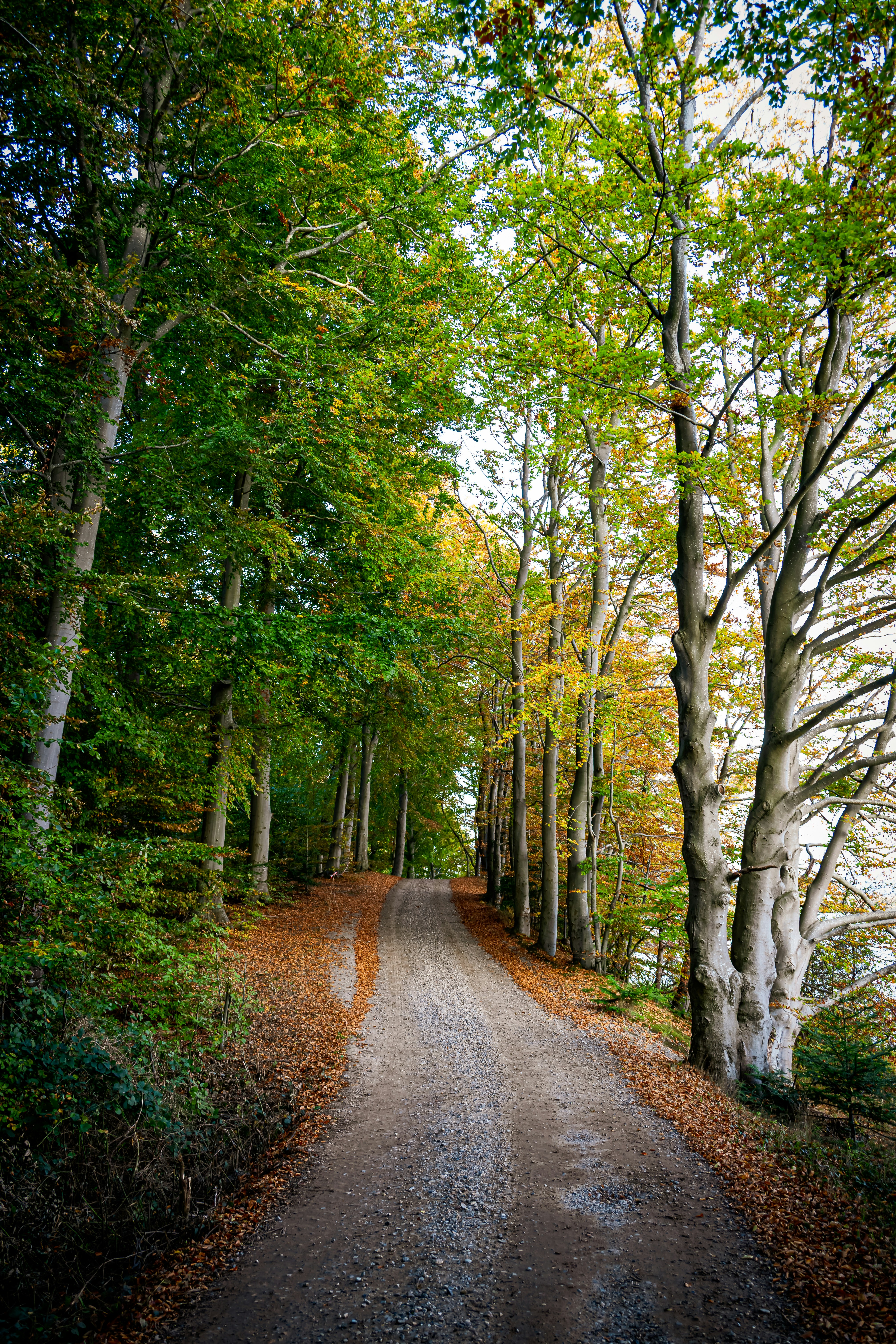 Photo by justmejuliee