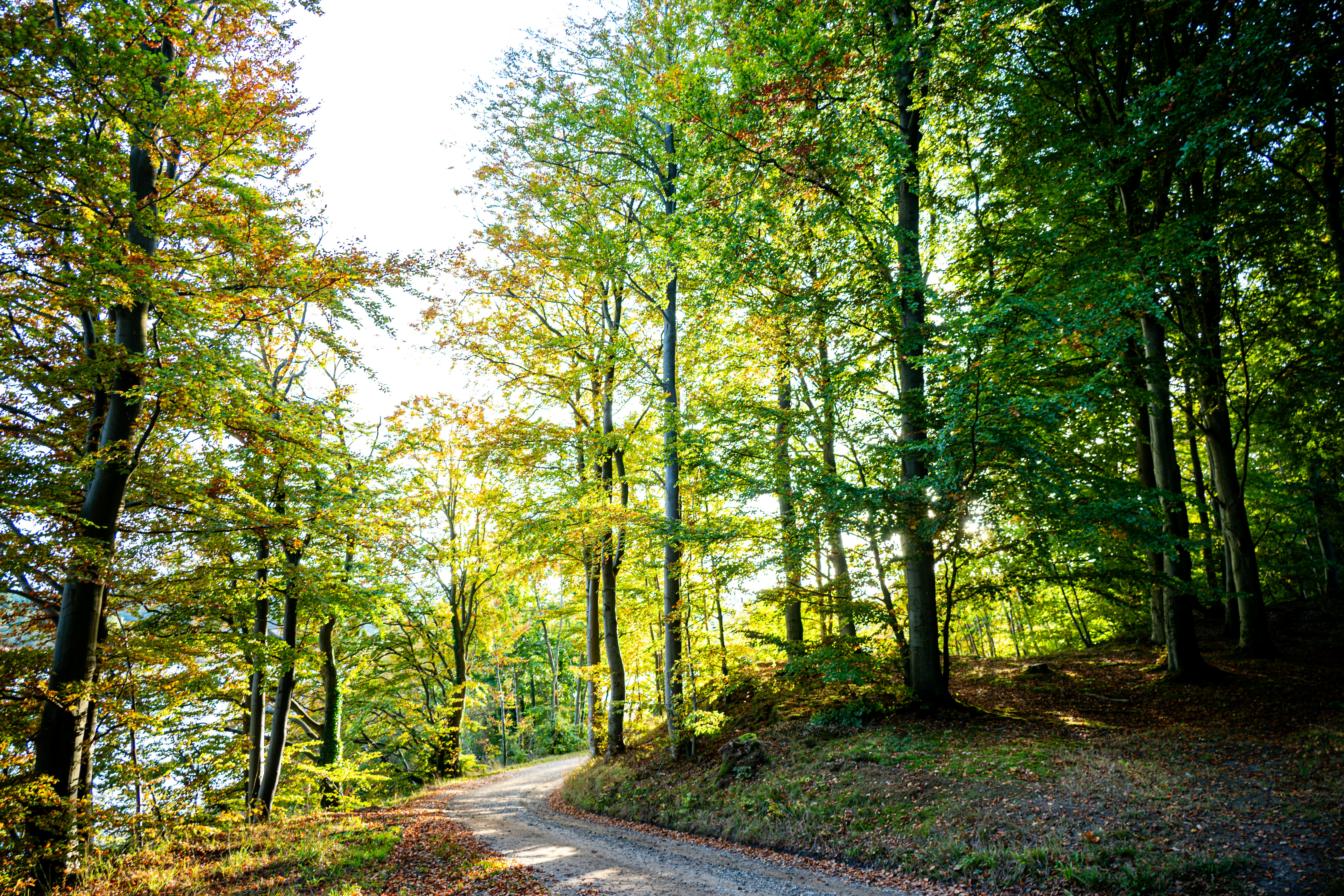 Photo by justmejuliee