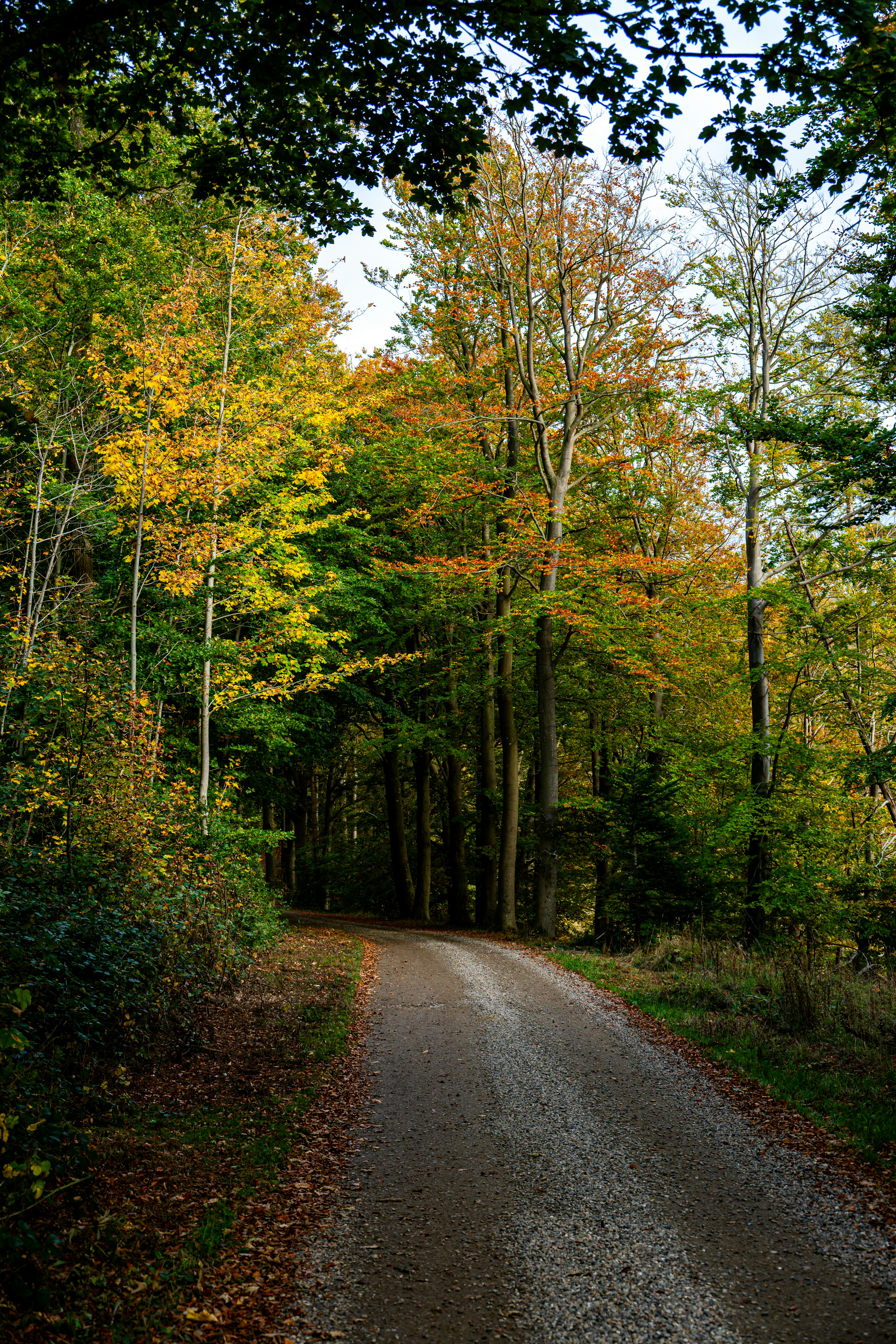 Photo by justmejuliee