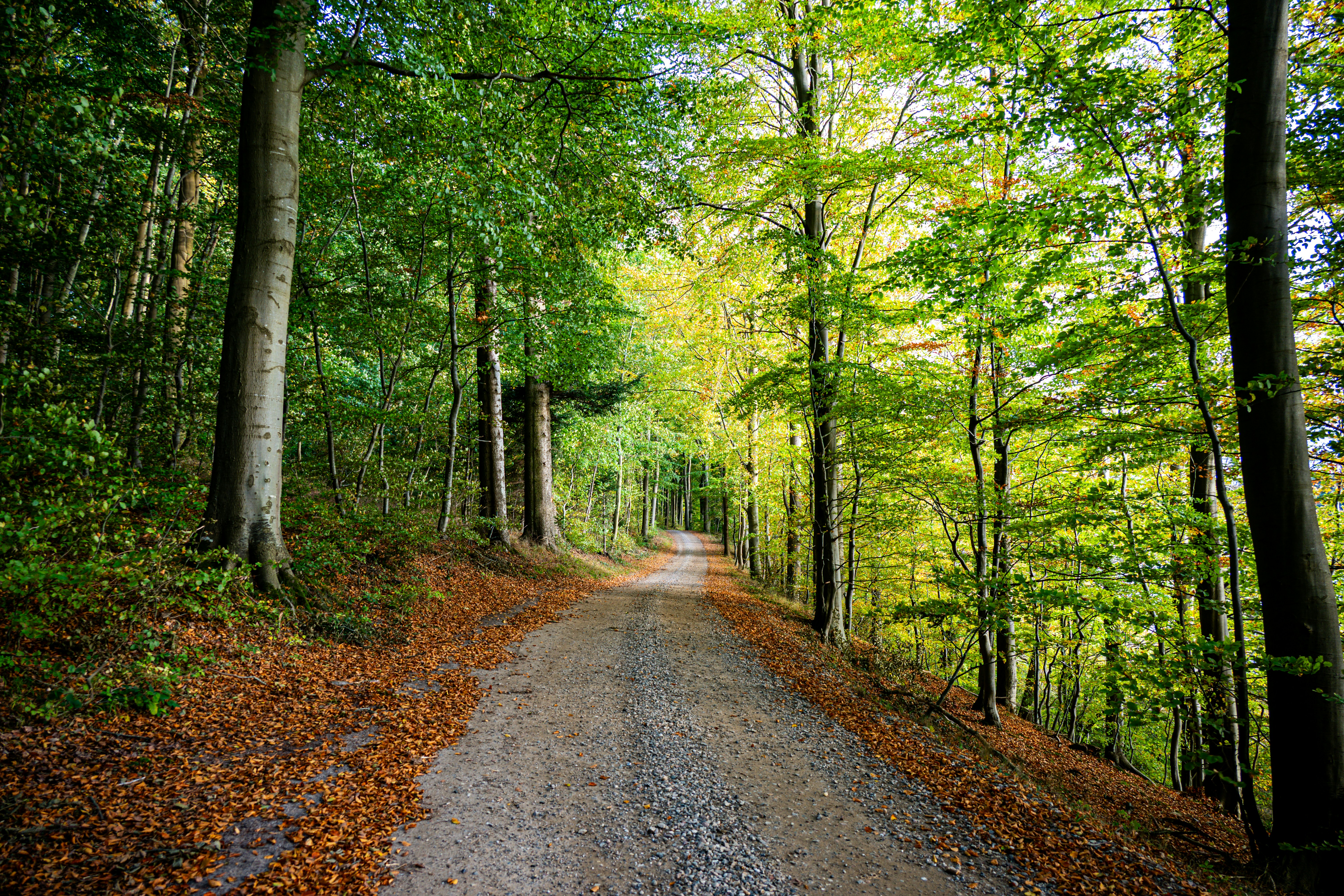 Photo by justmejuliee