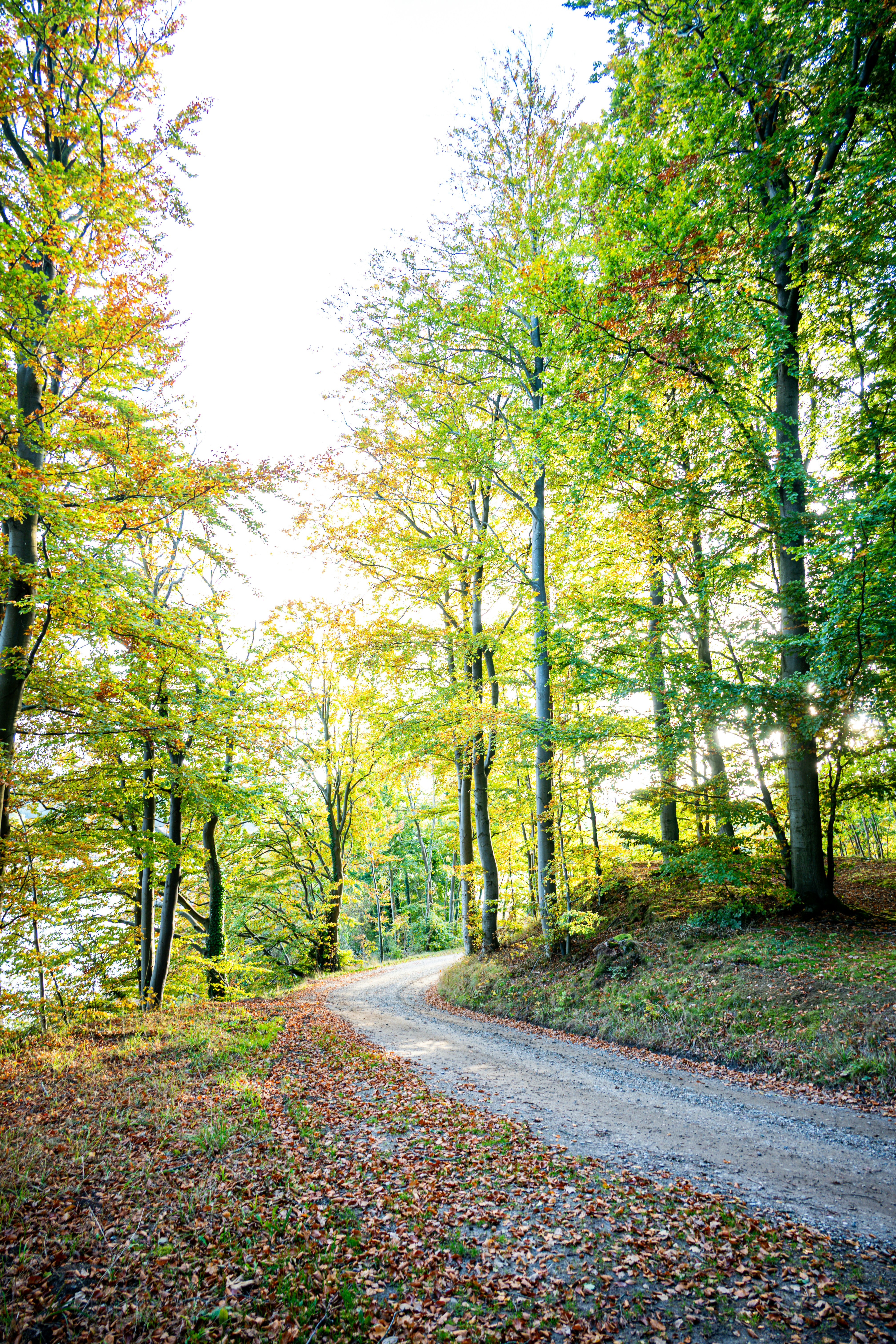 Photo by justmejuliee