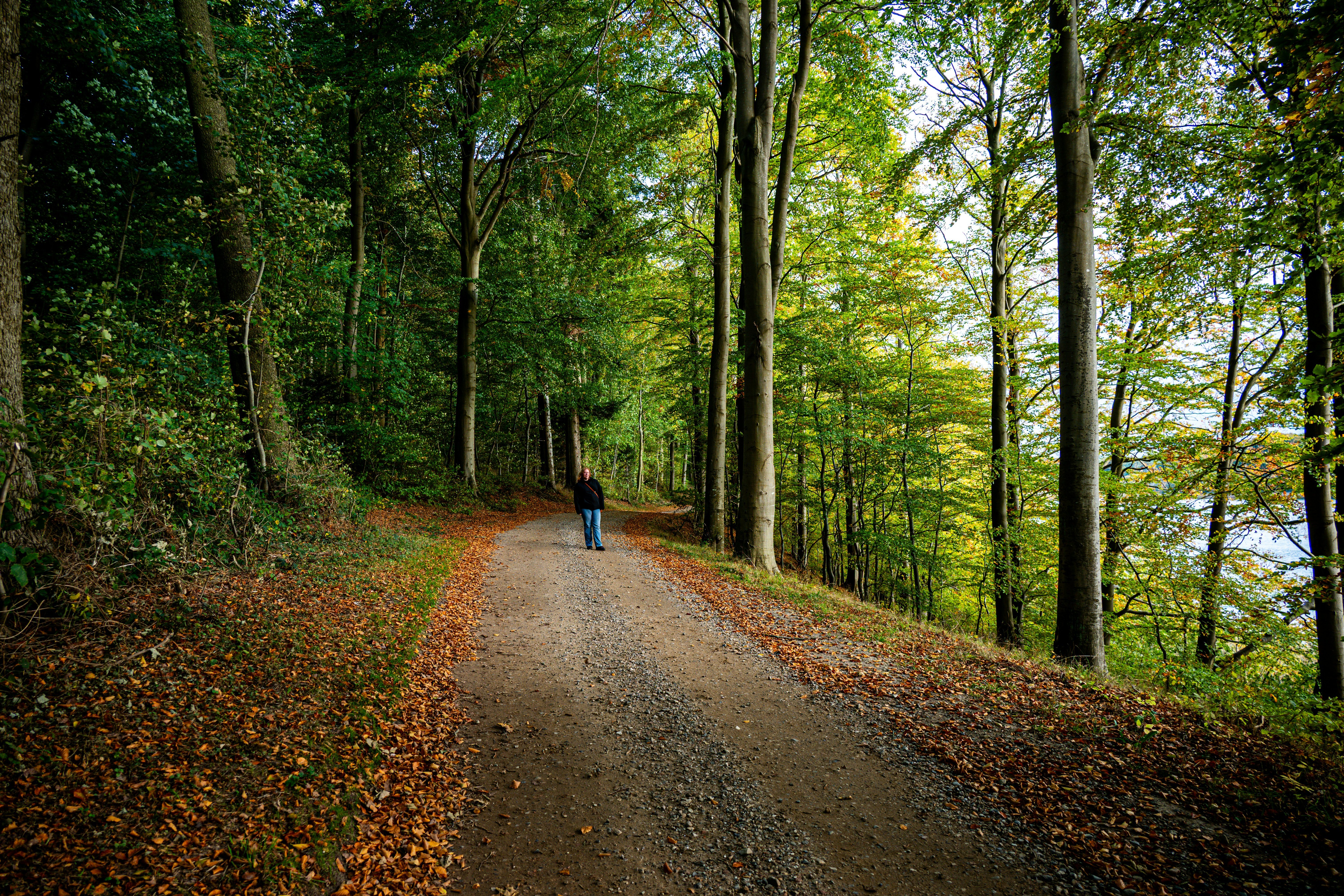 Photo by justmejuliee