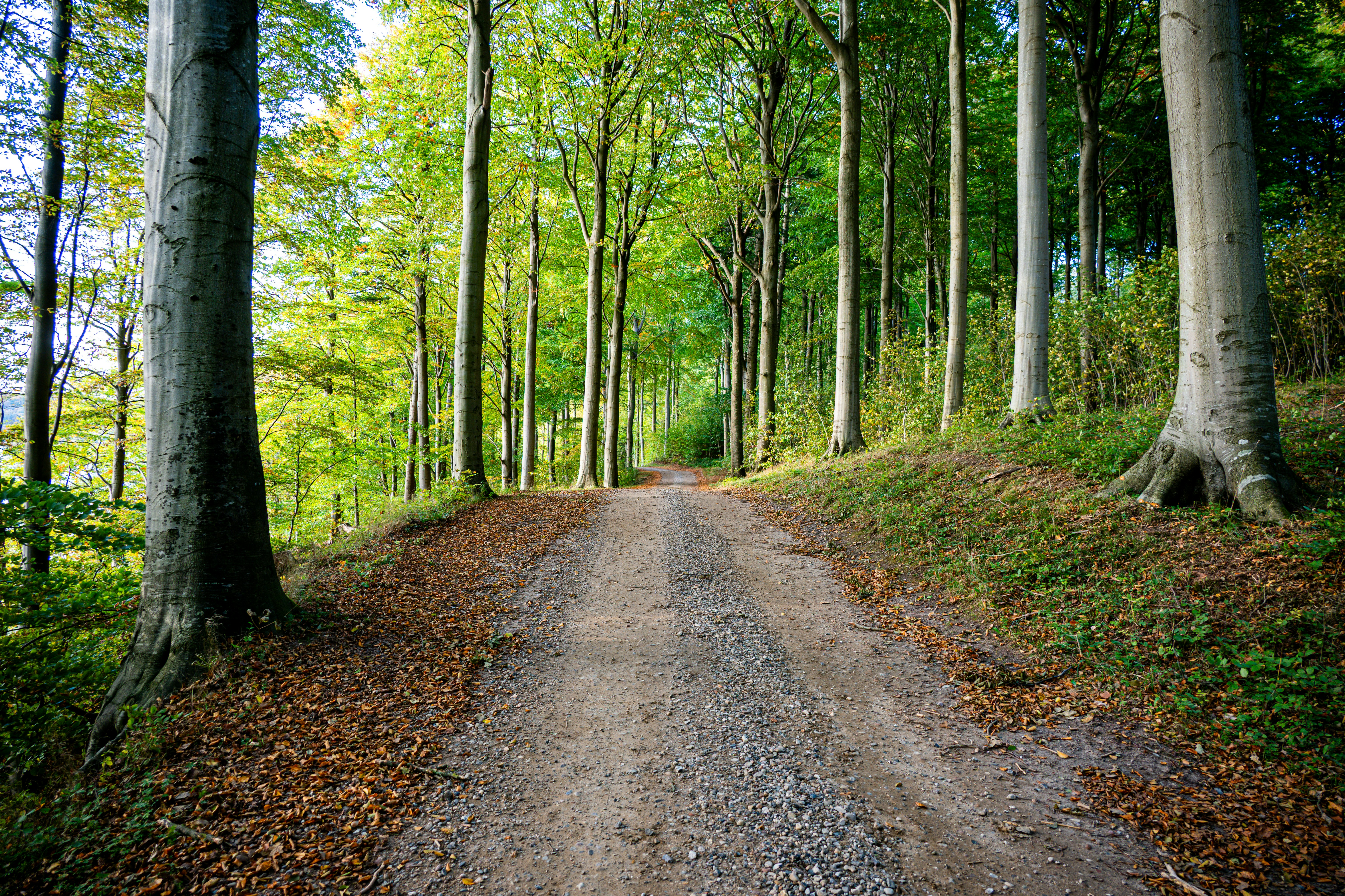 Photo by justmejuliee