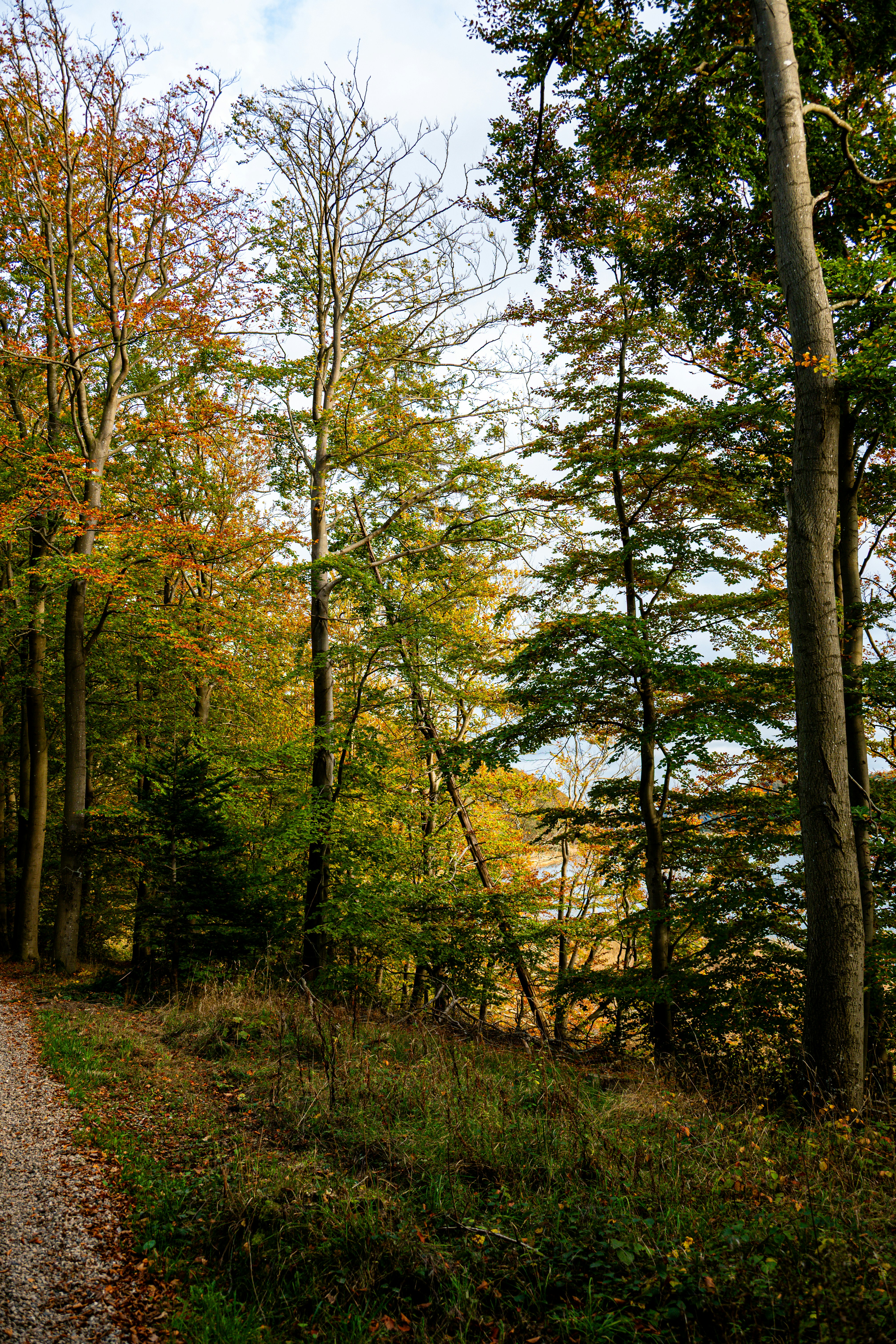 Photo by justmejuliee