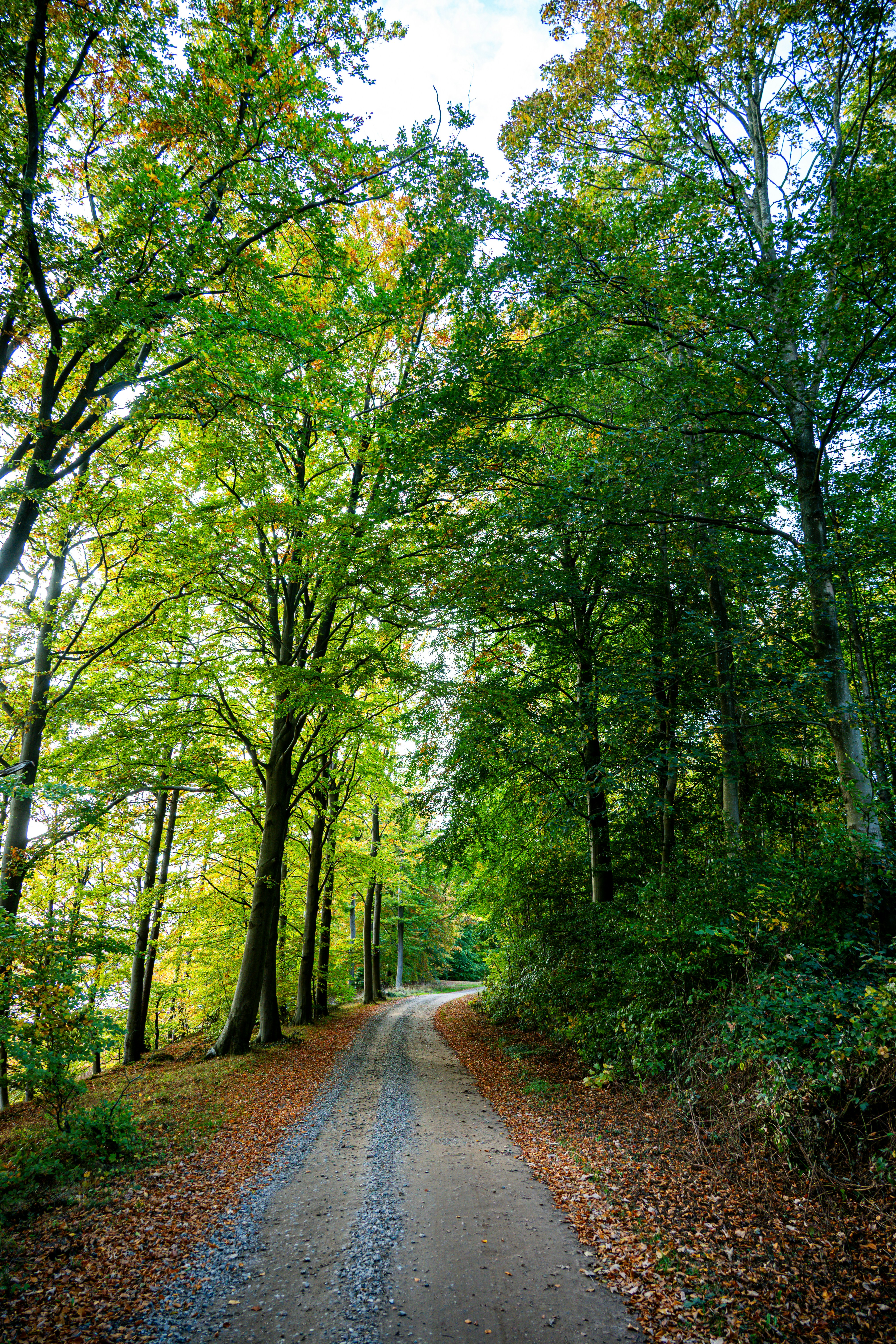 Photo by justmejuliee