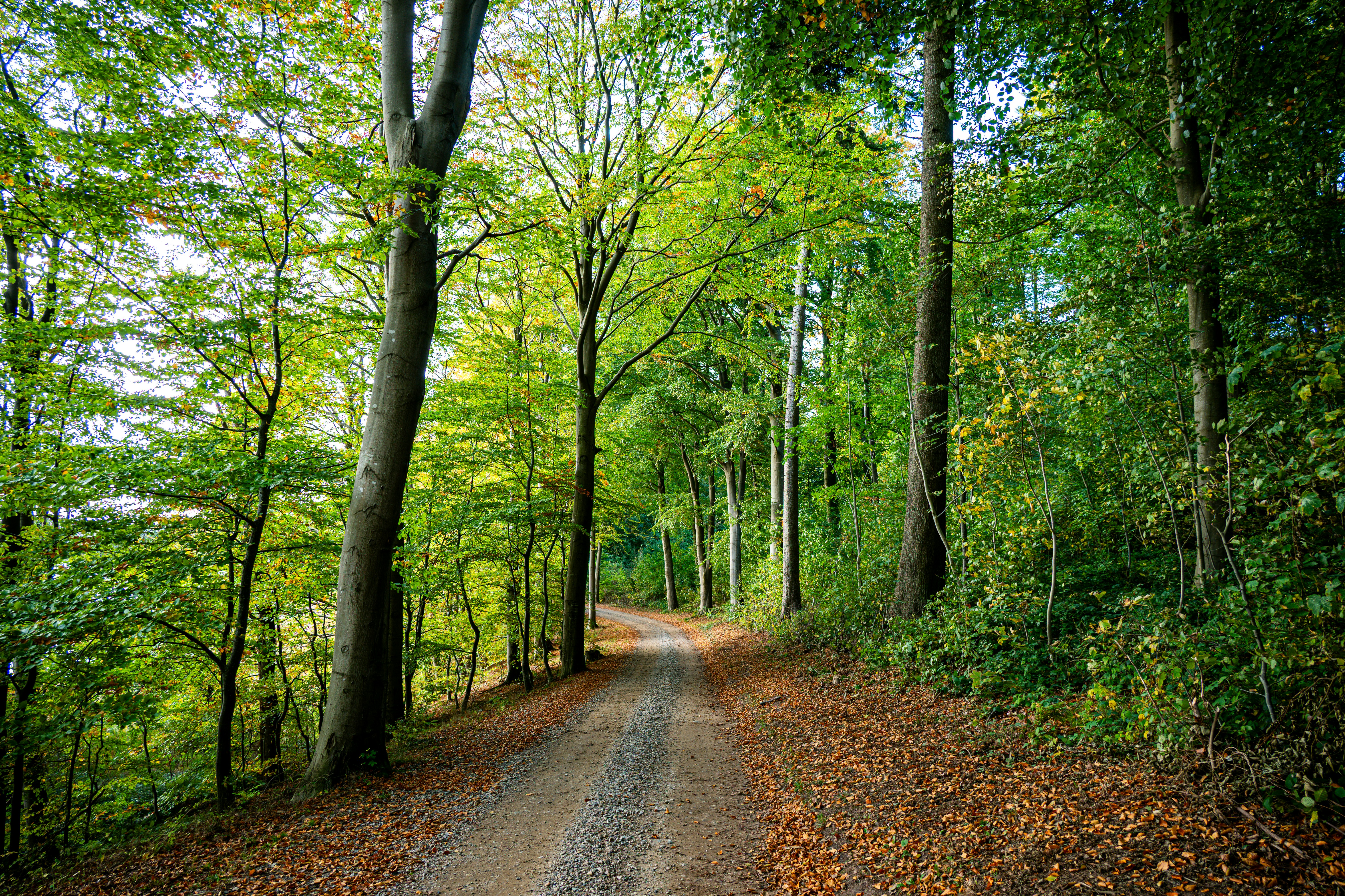 Photo by justmejuliee