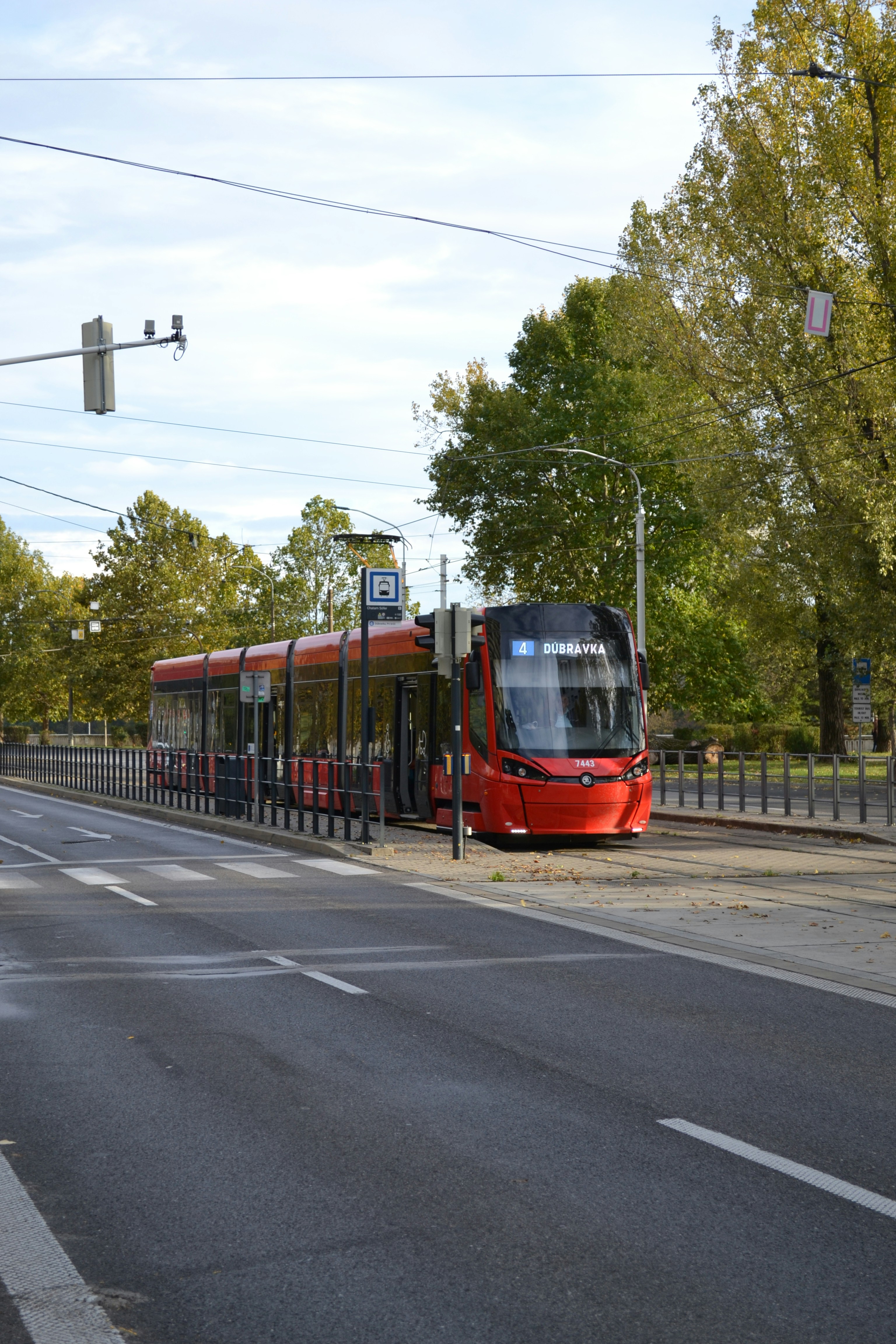 Photo by viktor_rejent