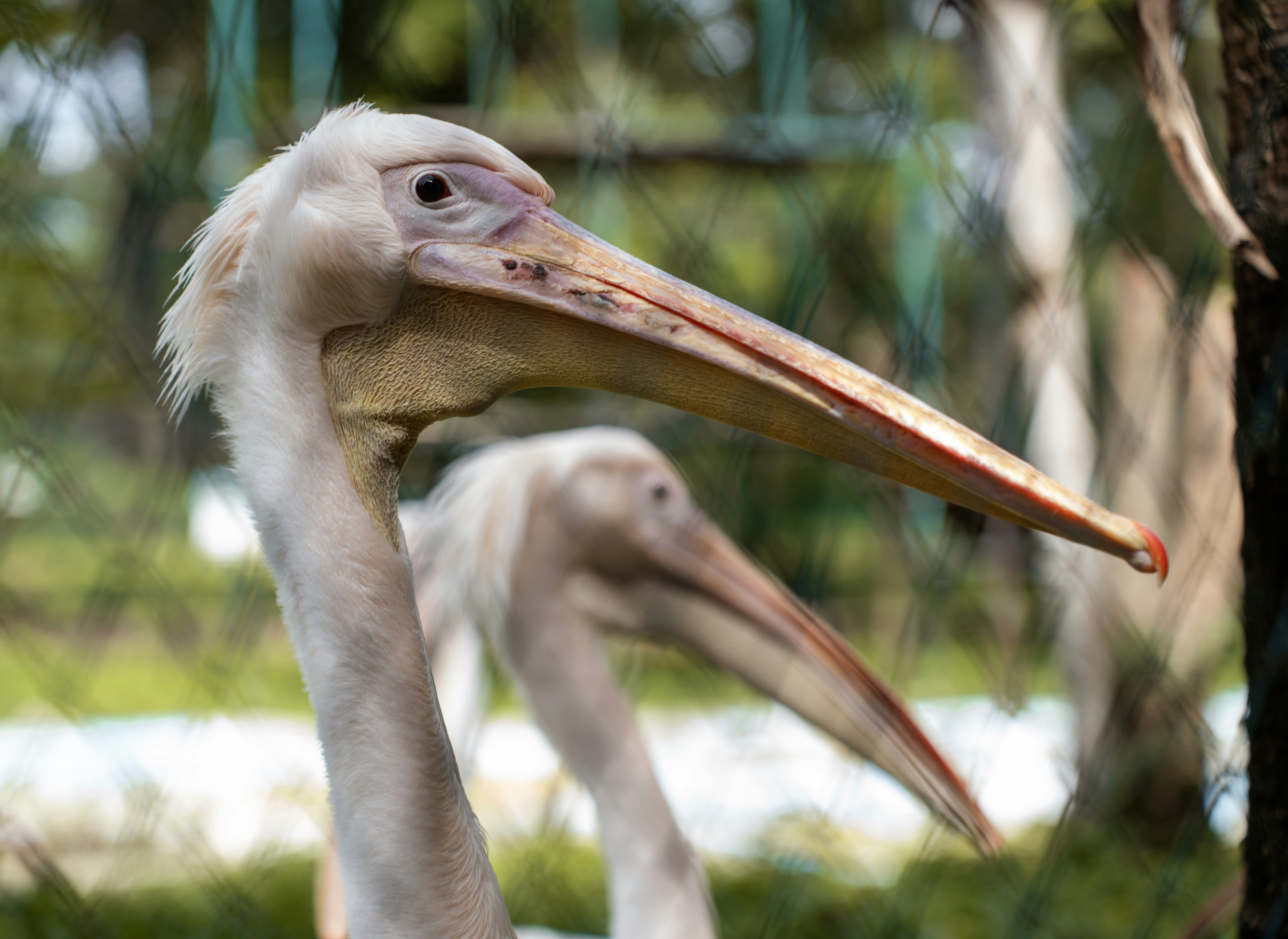 Photo by remapstudio