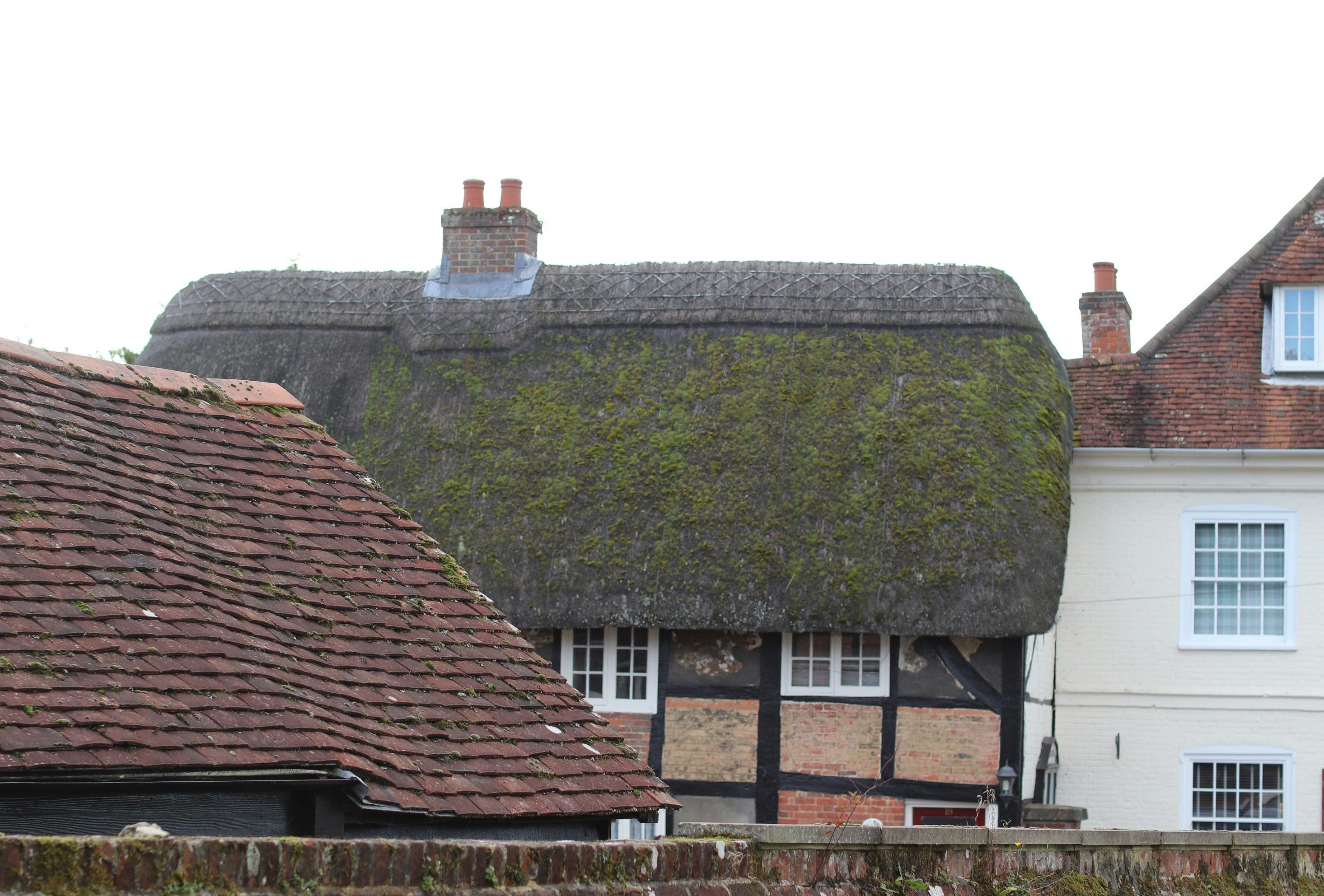 Photo by tanyabarrow