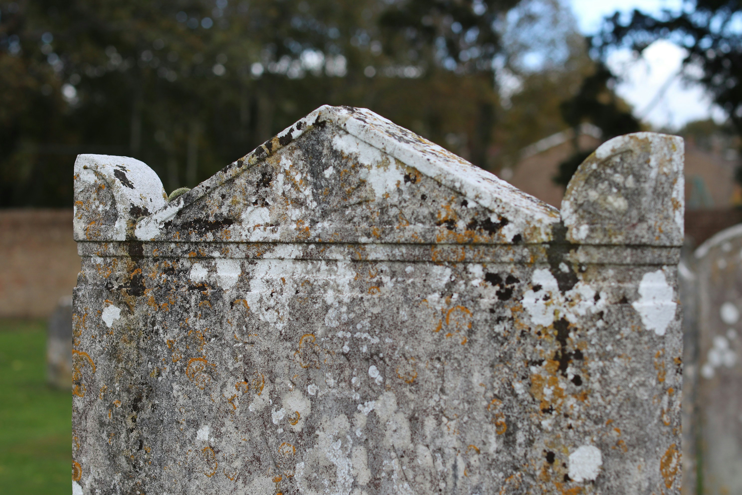 Photo by tanyabarrow