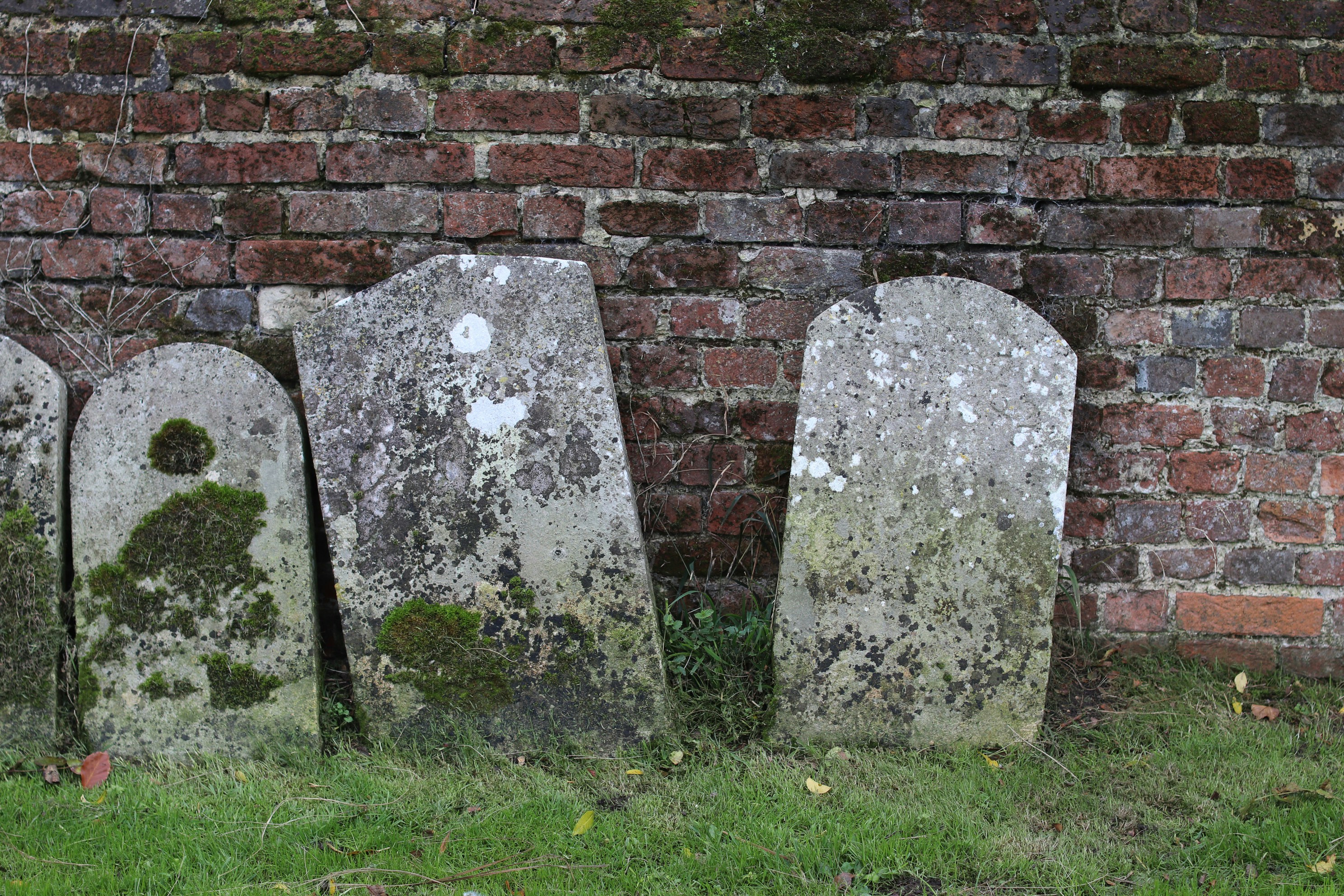 Photo by tanyabarrow