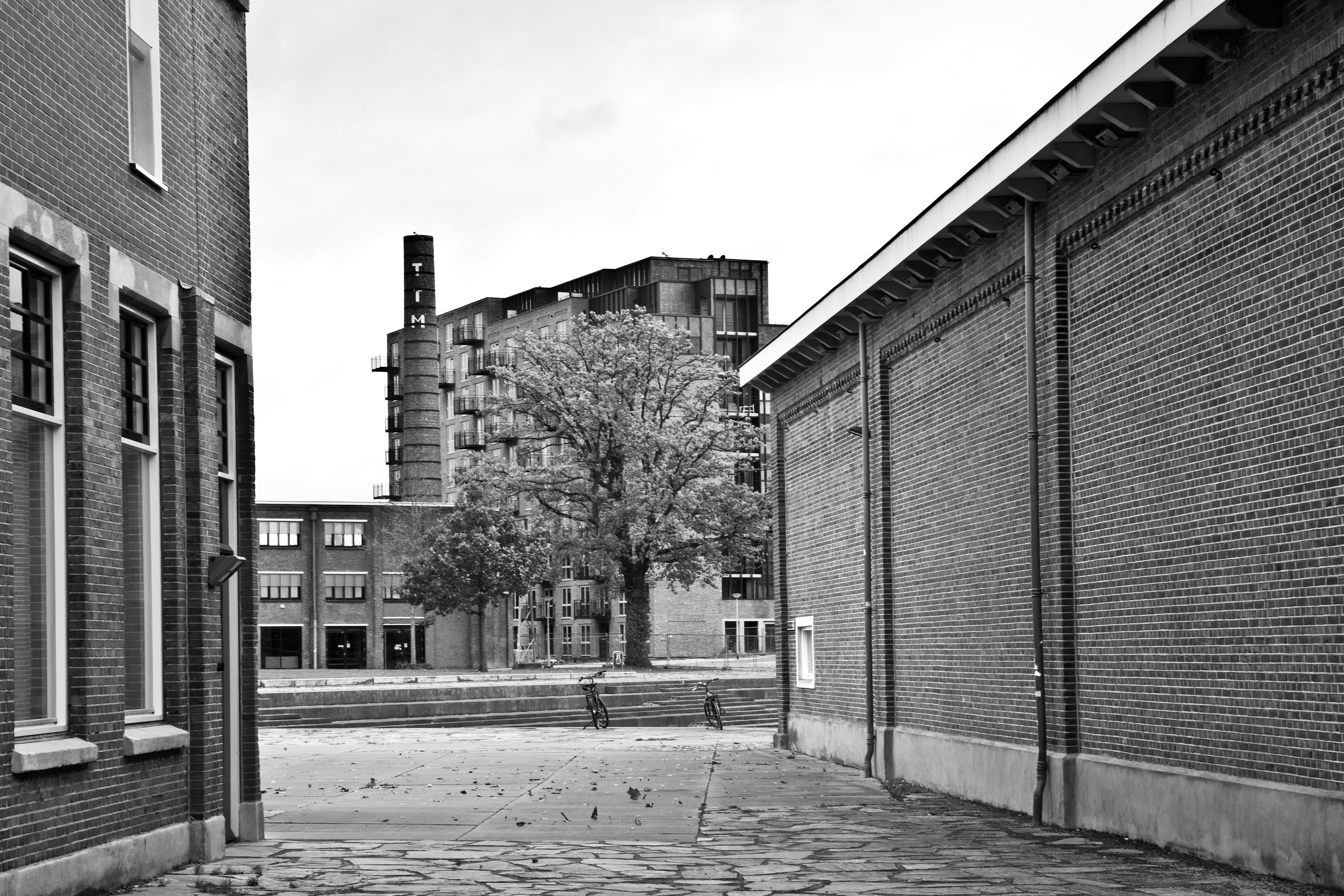 Photo by conniedevries