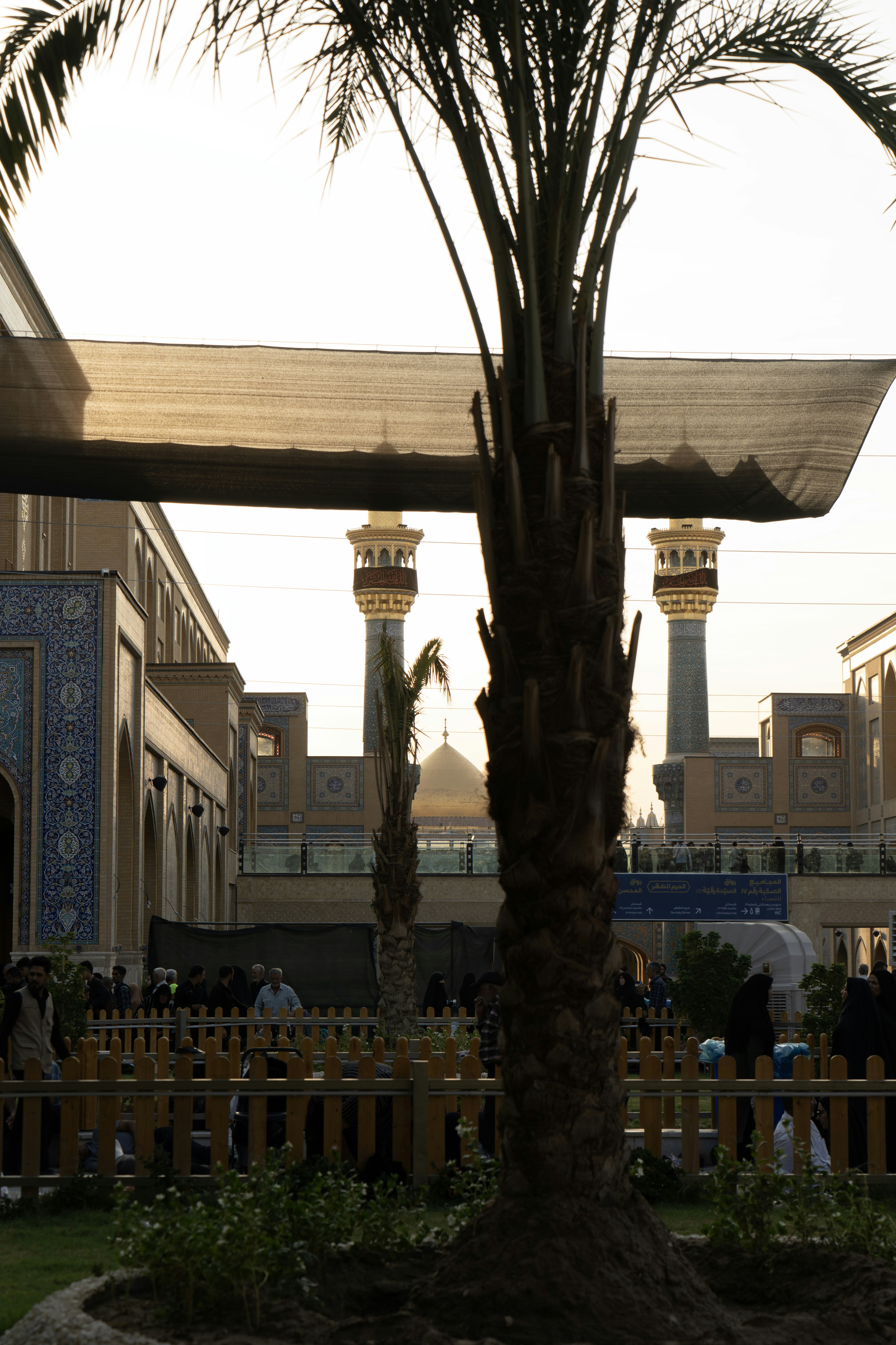 Palmera frente a una mezquita con cúpulas doradas.