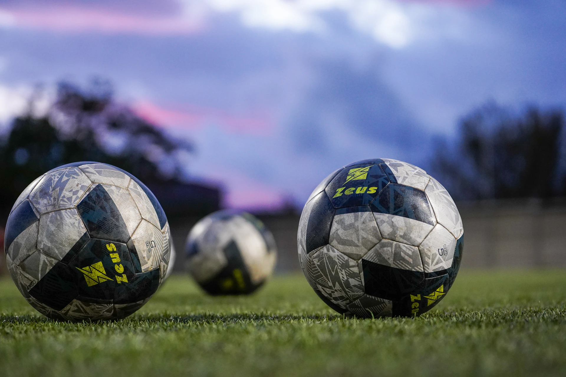 Three soccer balls resting on green grass