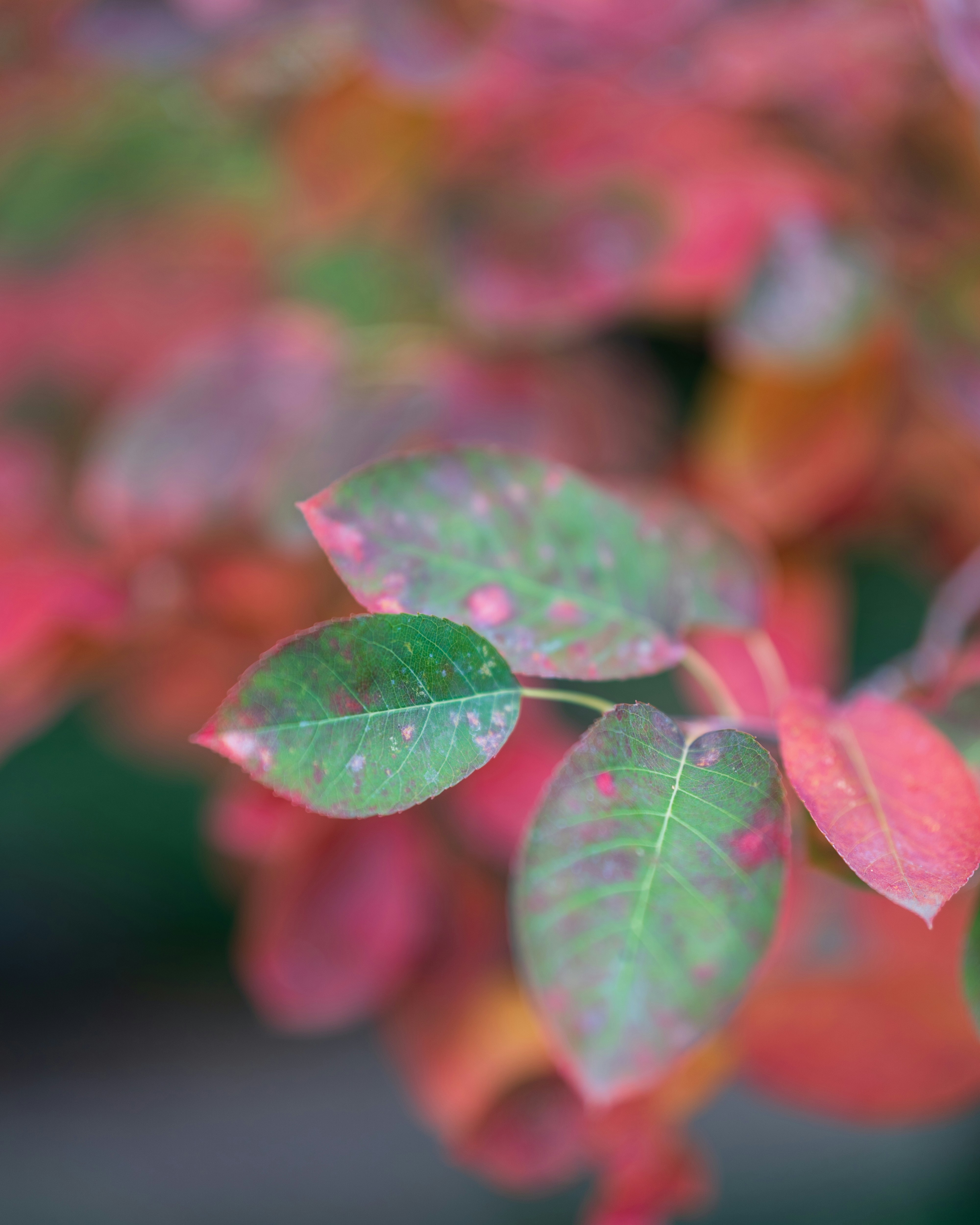 Photo by bangscreative