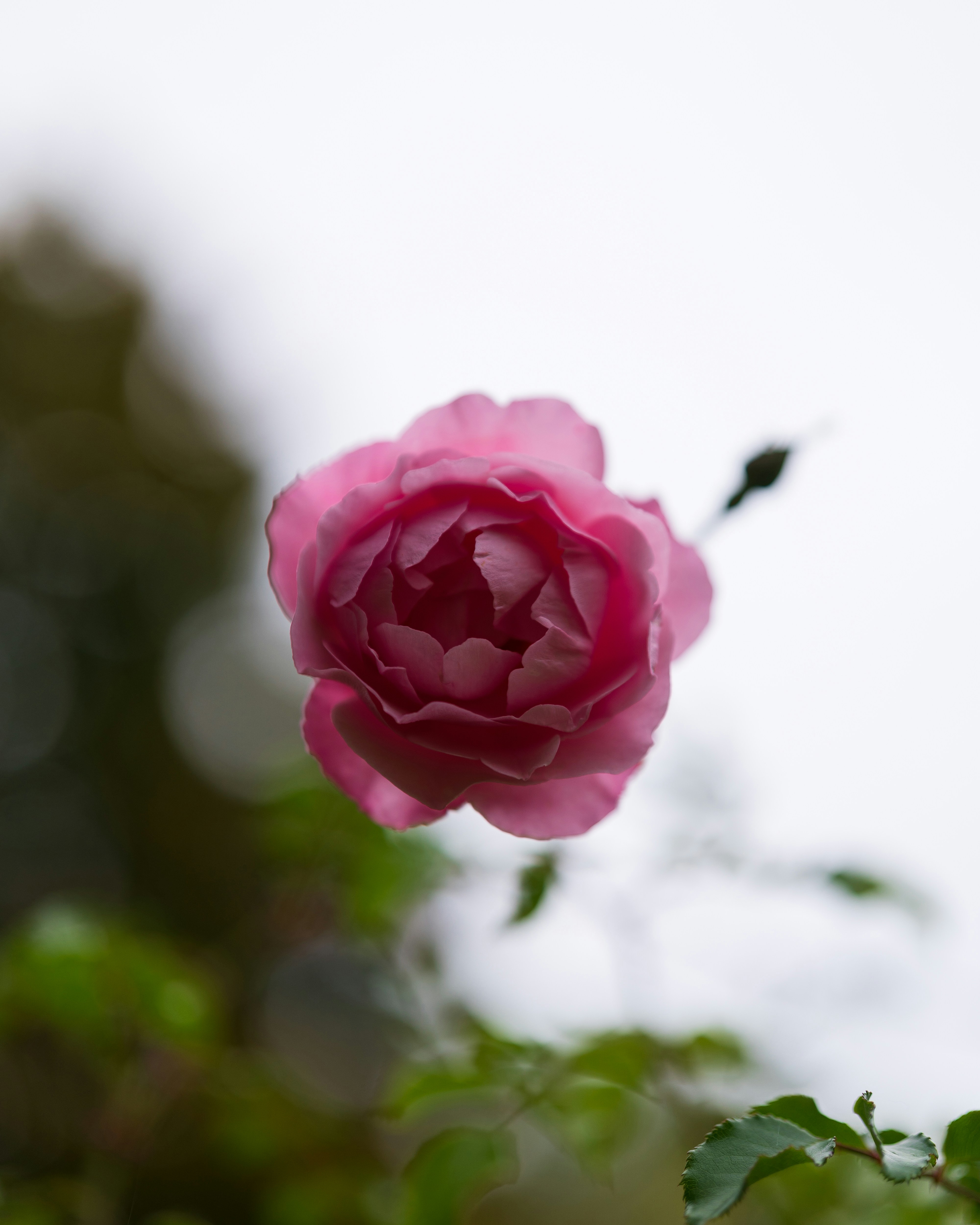 Photo by bangscreative