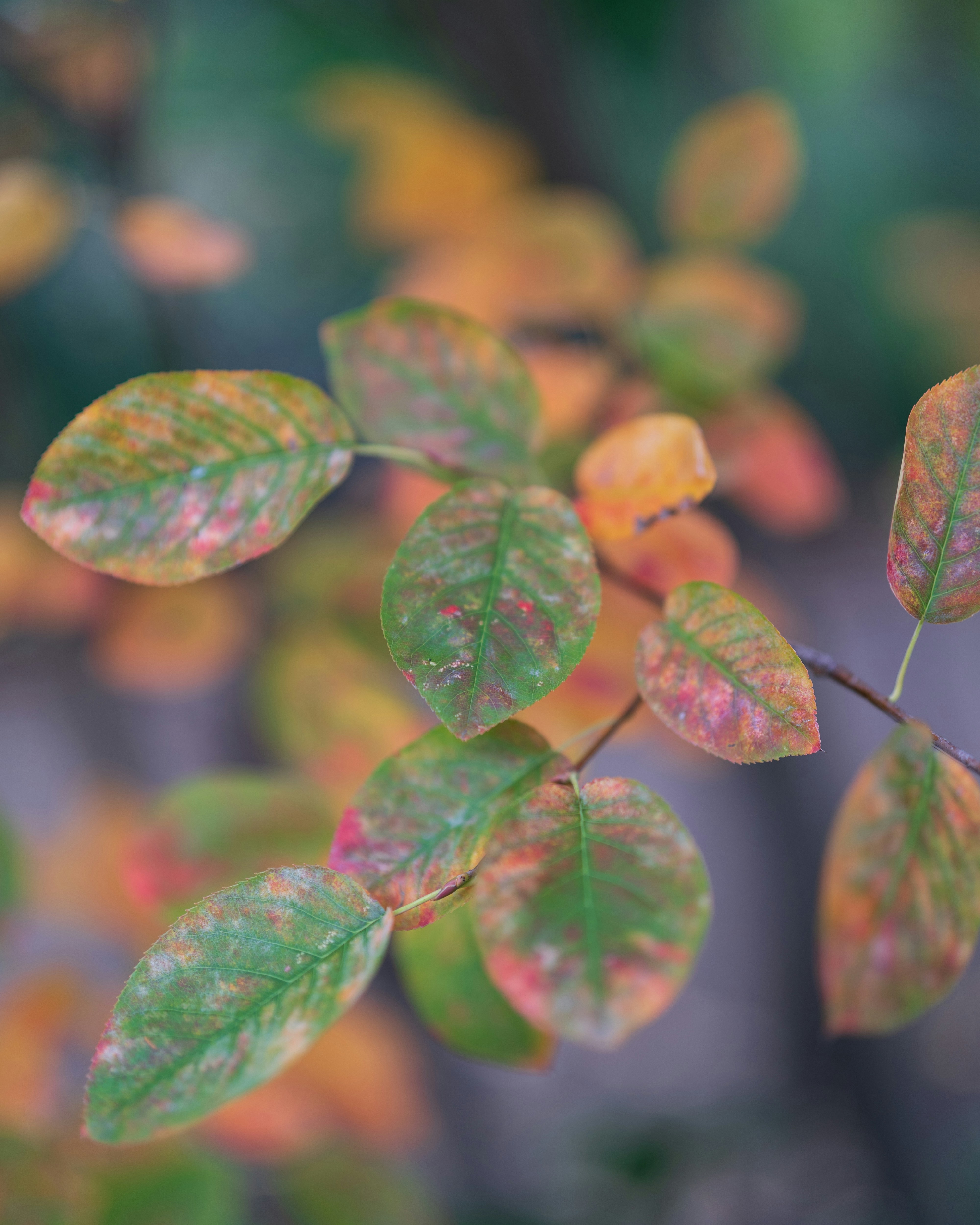 Photo by bangscreative