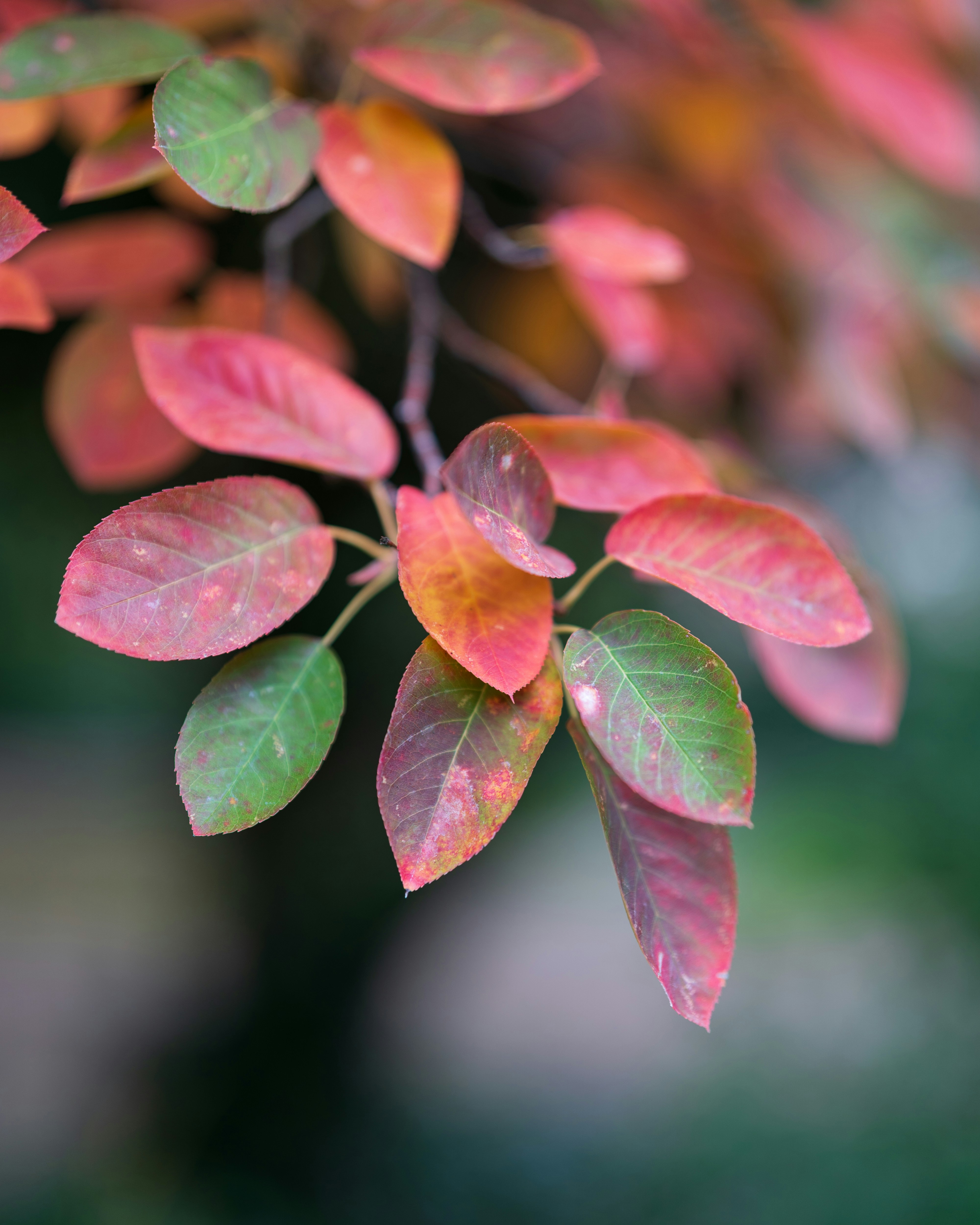 Photo by bangscreative