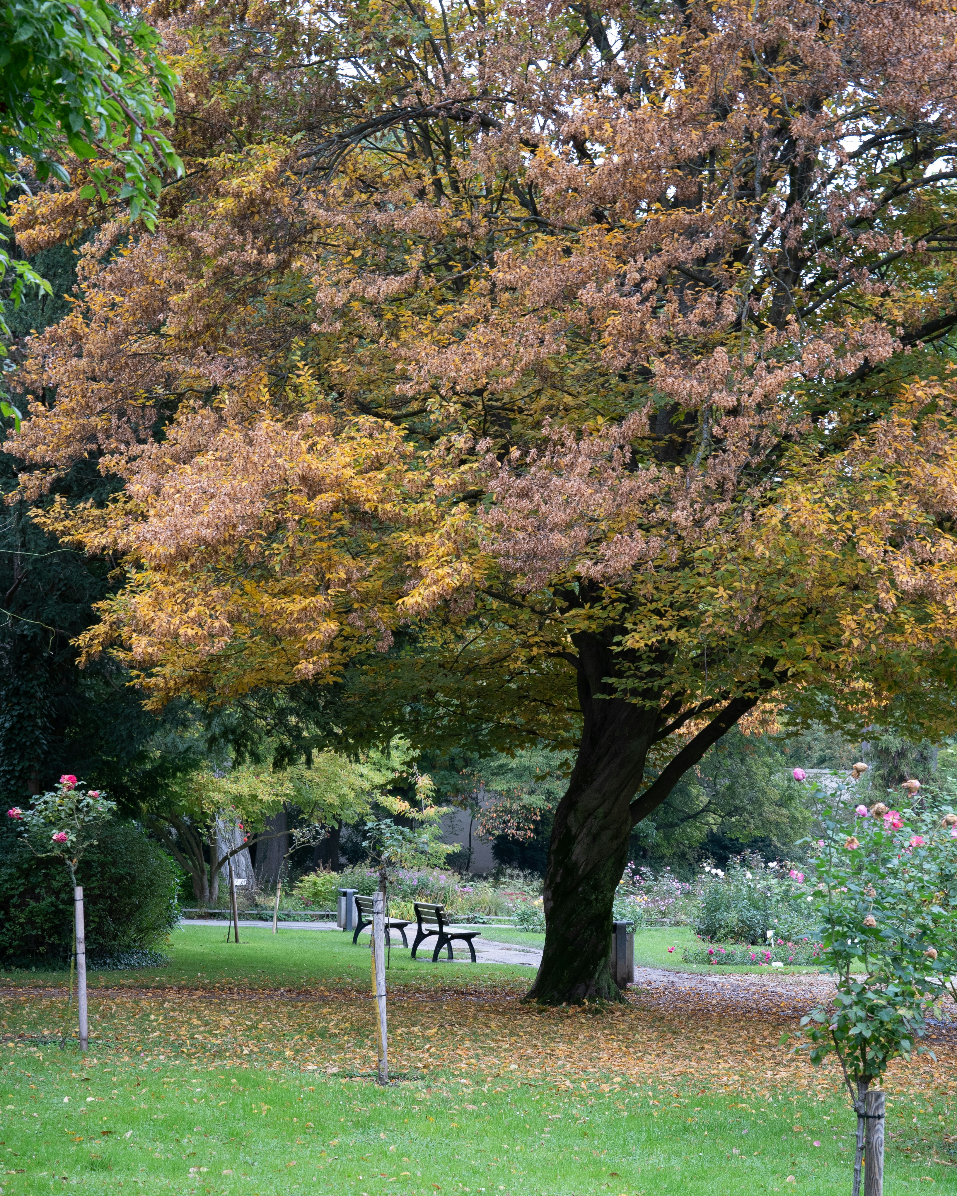 Photo by bangscreative