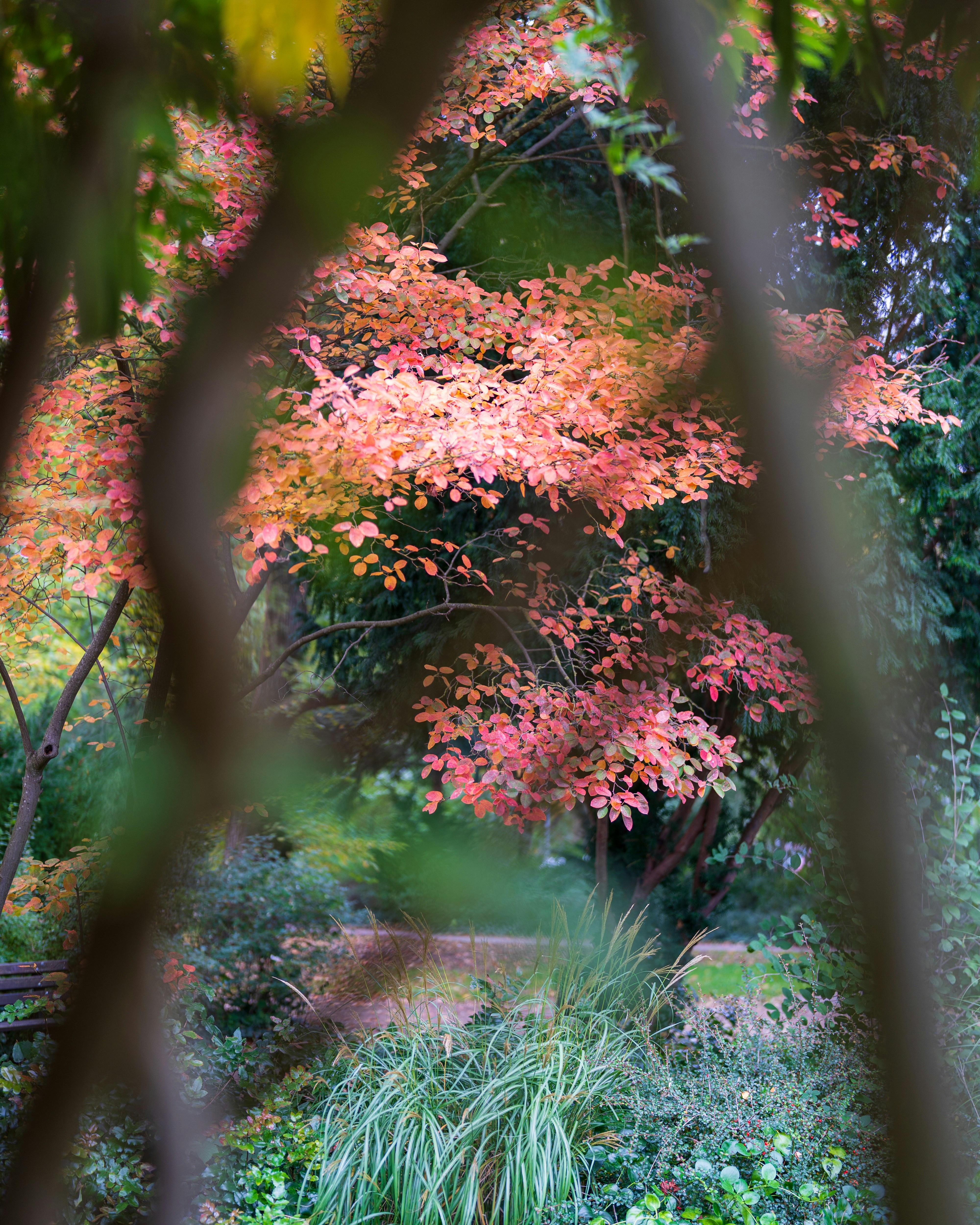 Photo by bangscreative