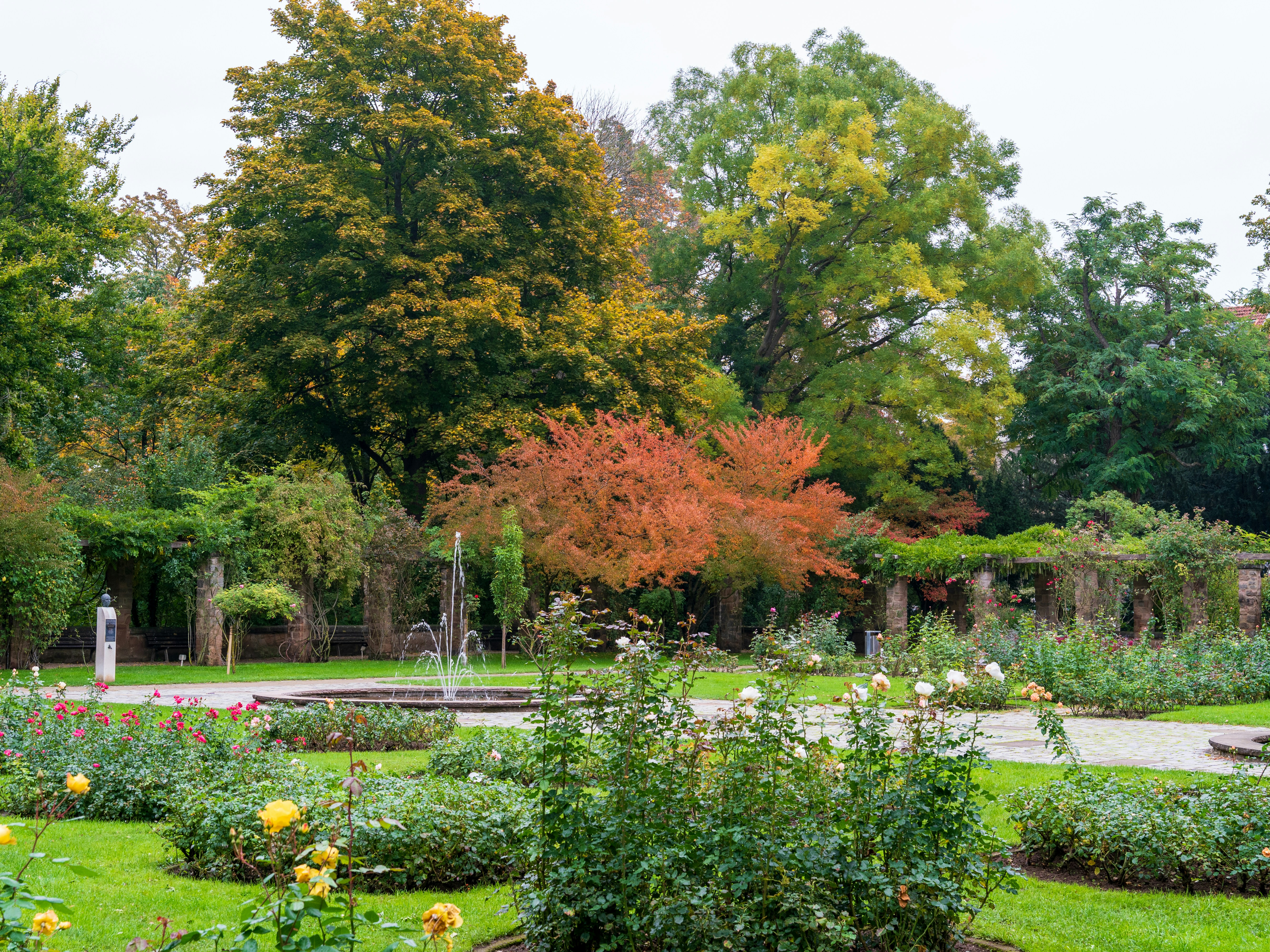 Photo by bangscreative