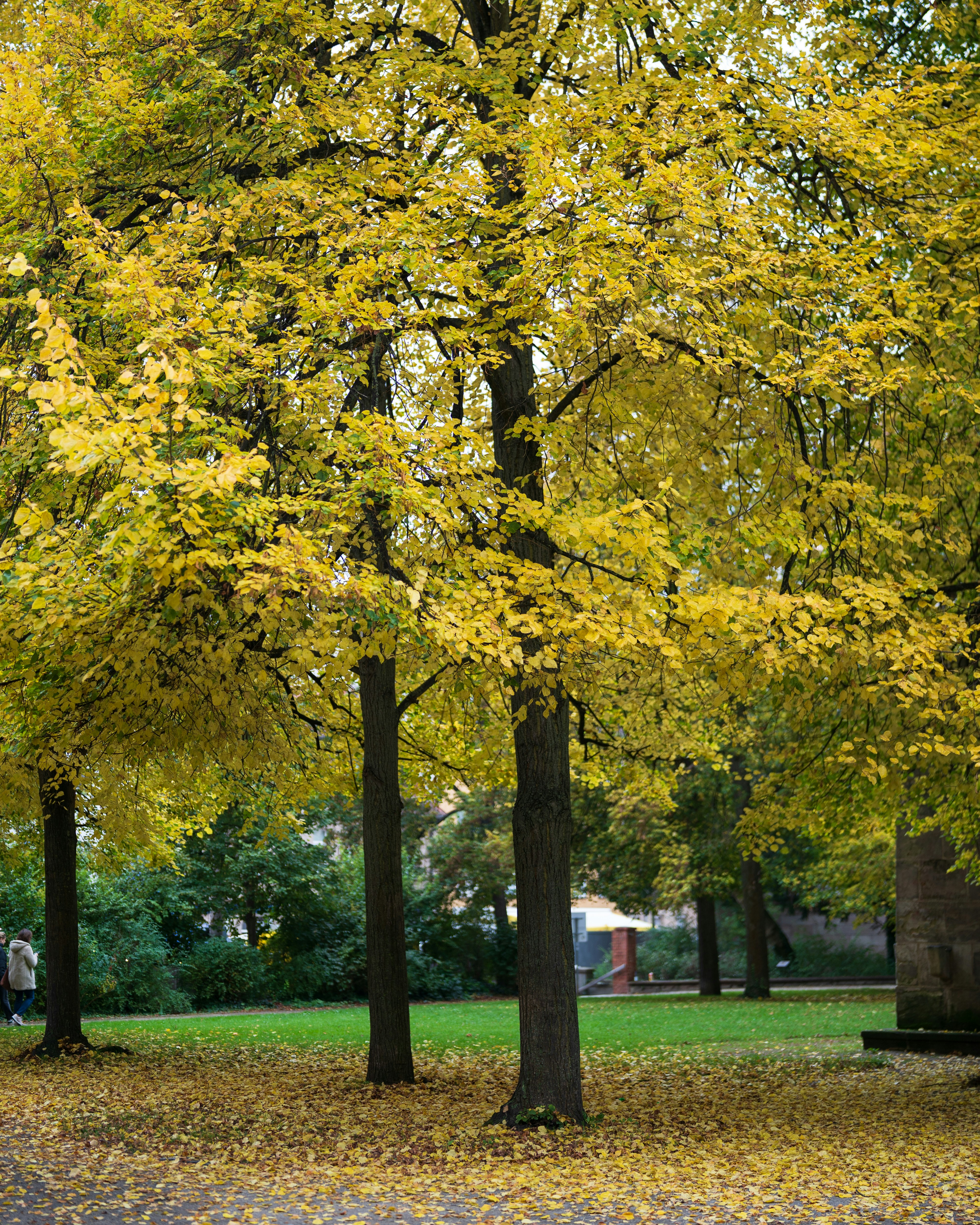 Photo by bangscreative