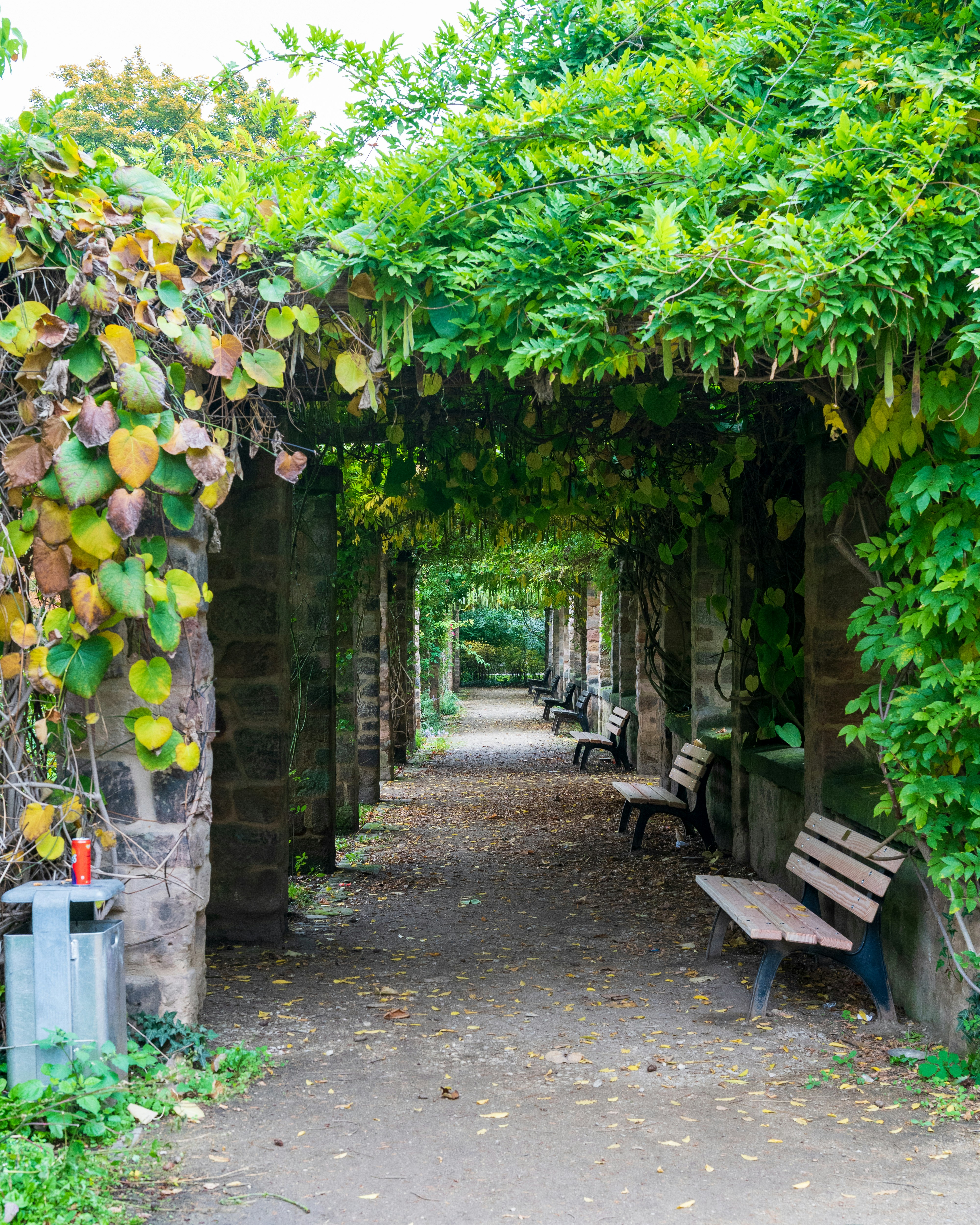 Photo by bangscreative