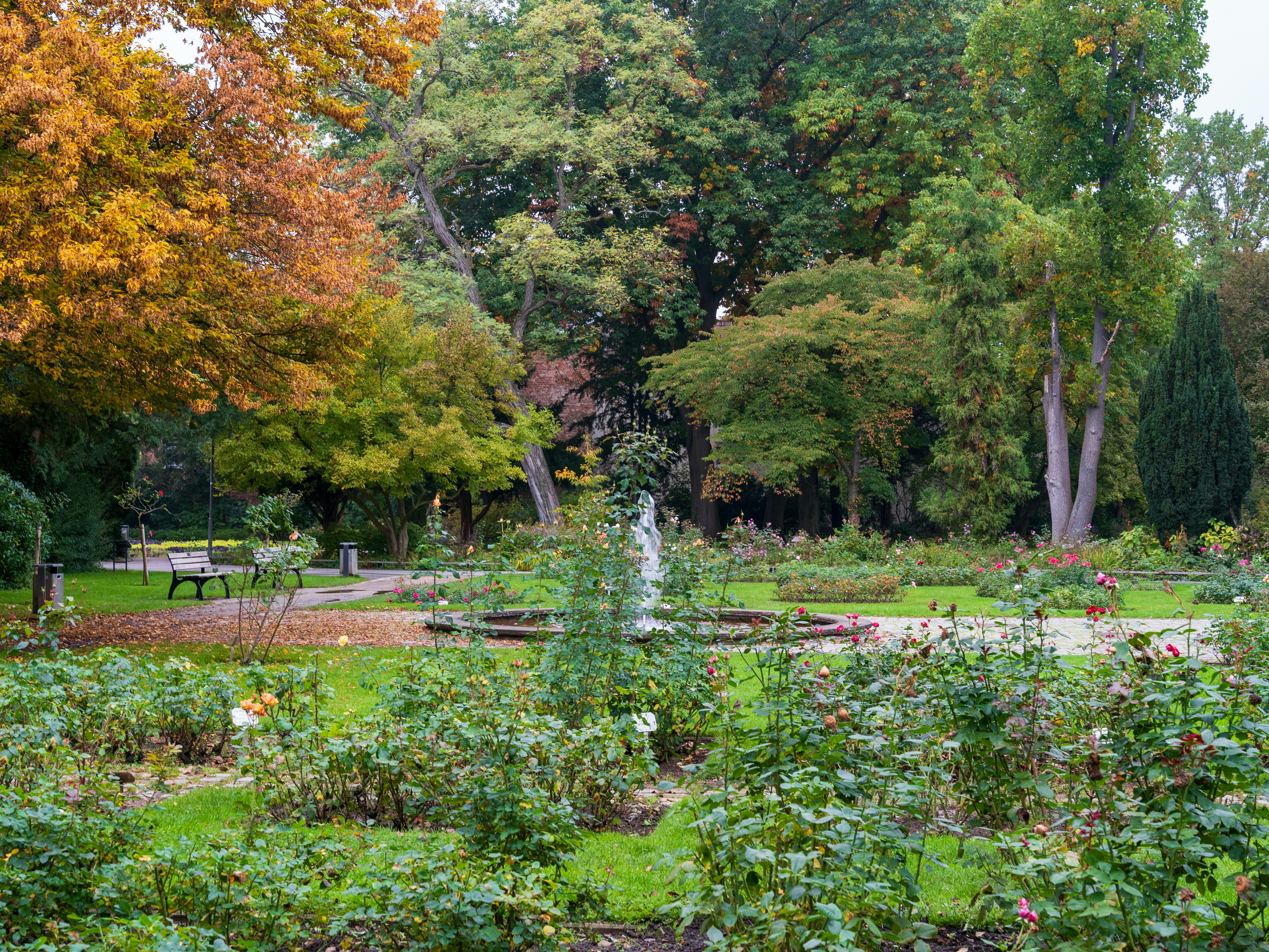 Photo by bangscreative