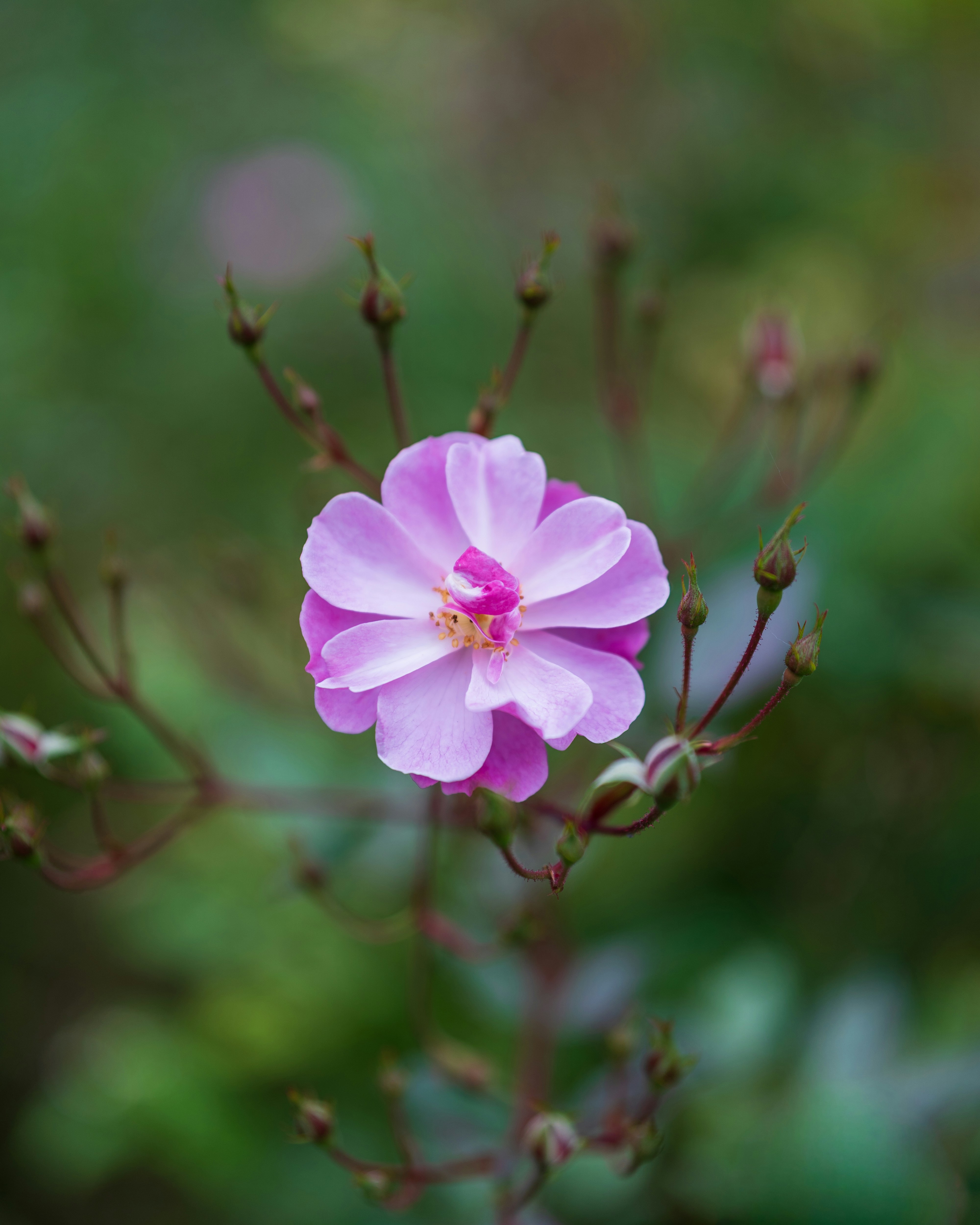 Photo by bangscreative