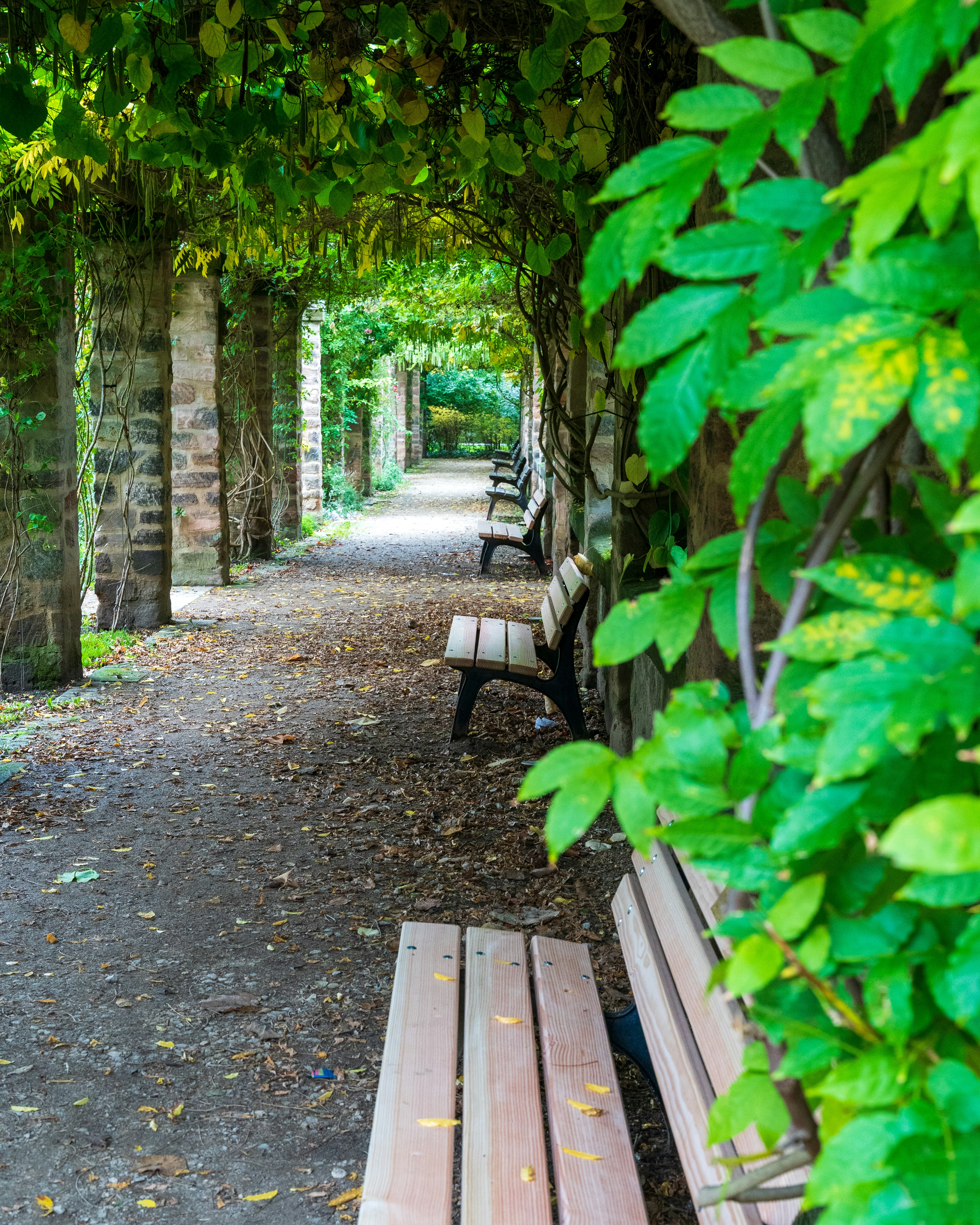 Photo by bangscreative