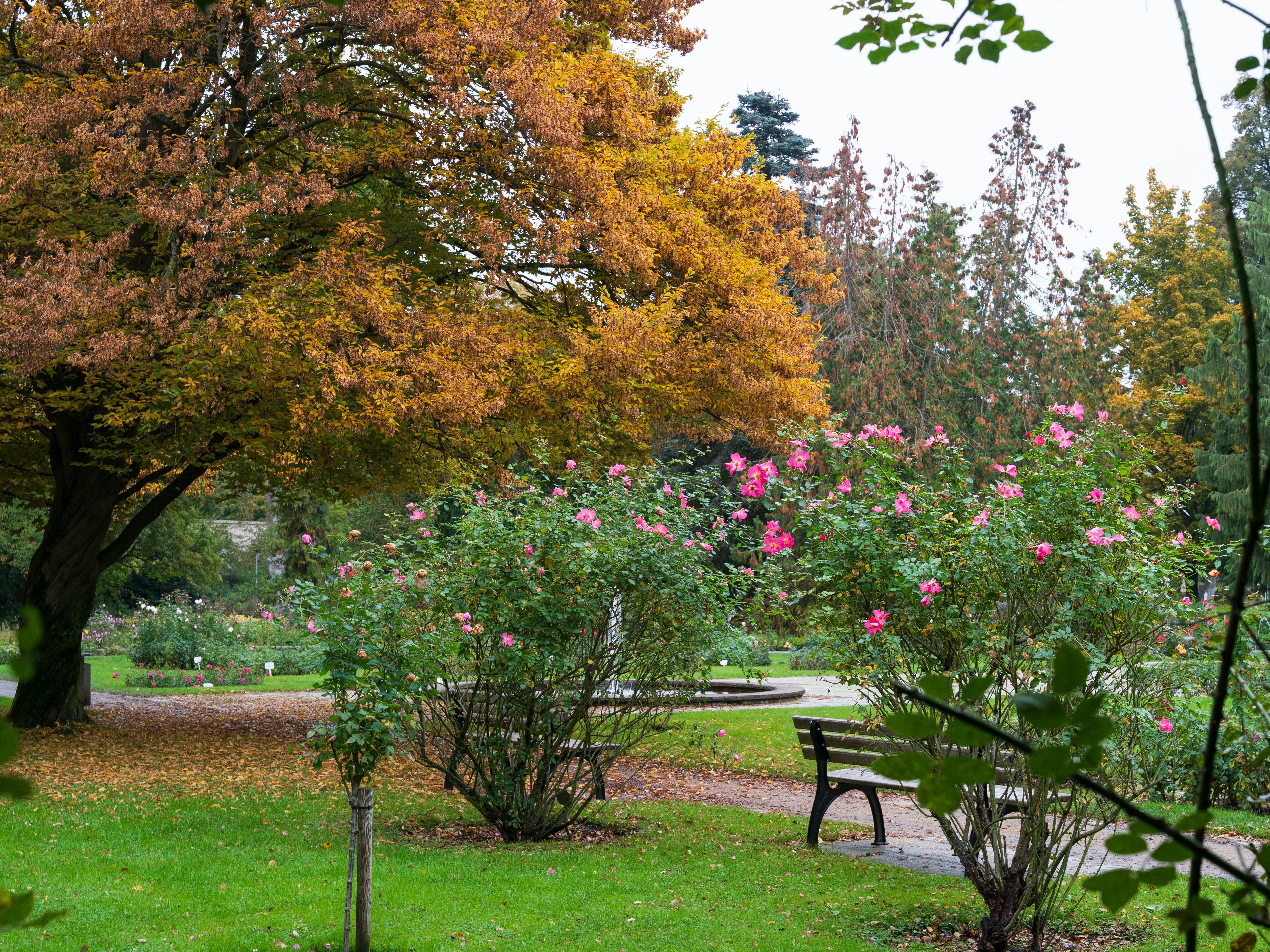 Photo by bangscreative