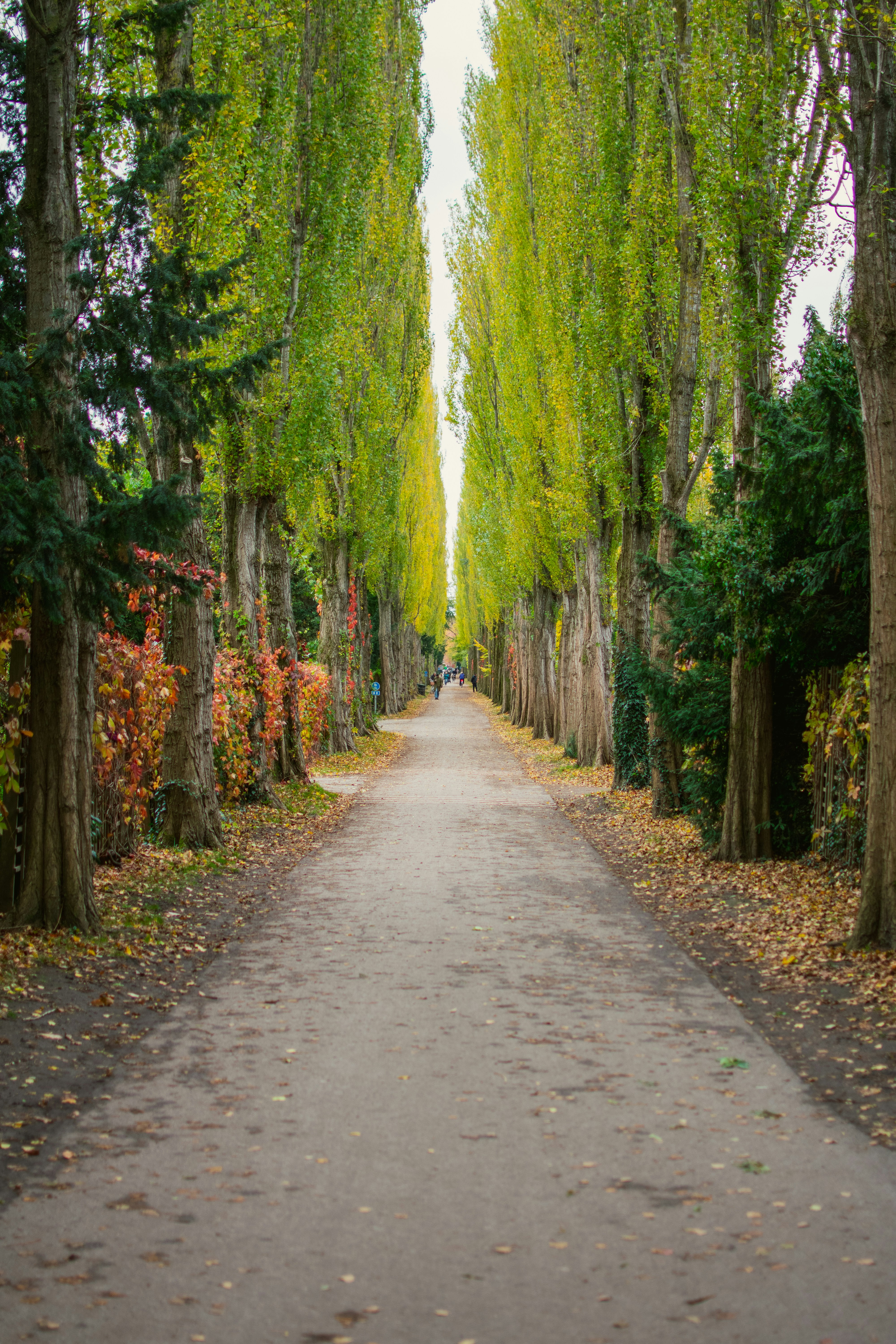 Photo by mirceadrian